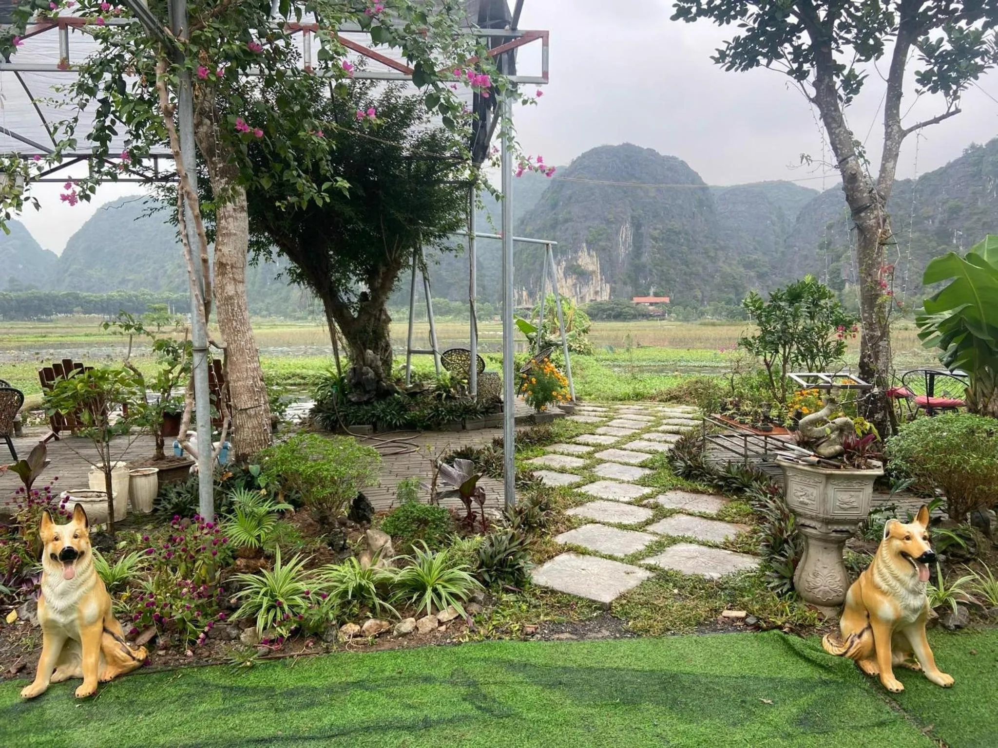Garden in Tam Coc Mountain View Homestay