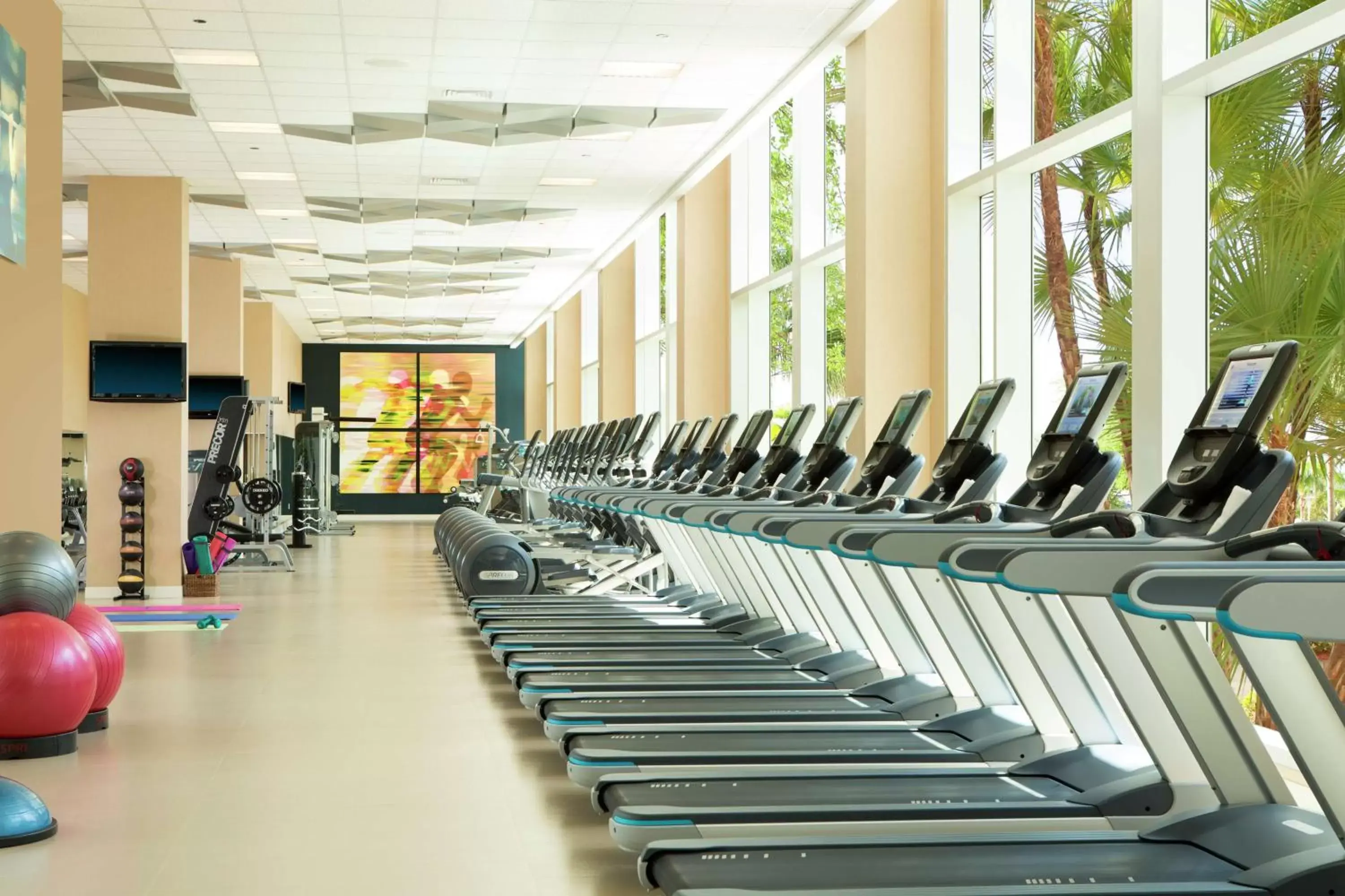 Fitness centre/facilities, Fitness Center/Facilities in Hilton Orlando