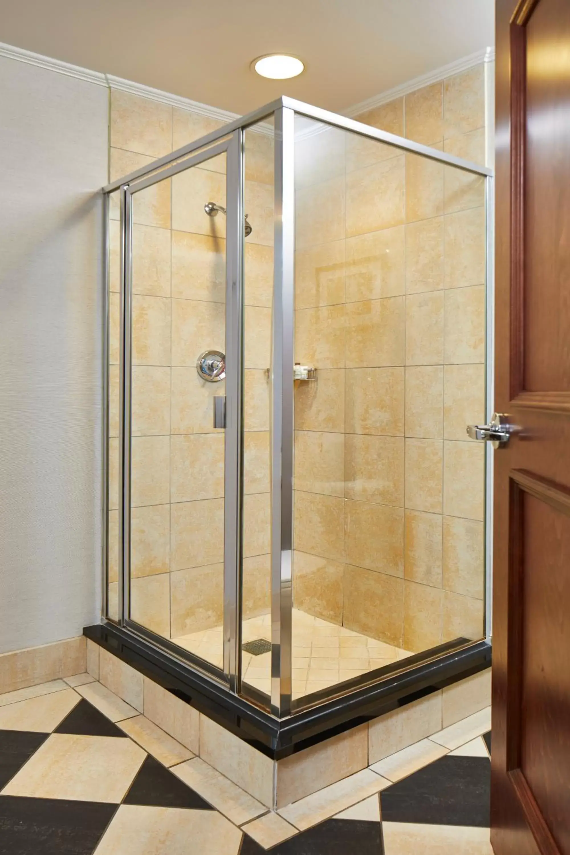 Shower, Bathroom in The Battle House Renaissance Mobile Hotel & Spa