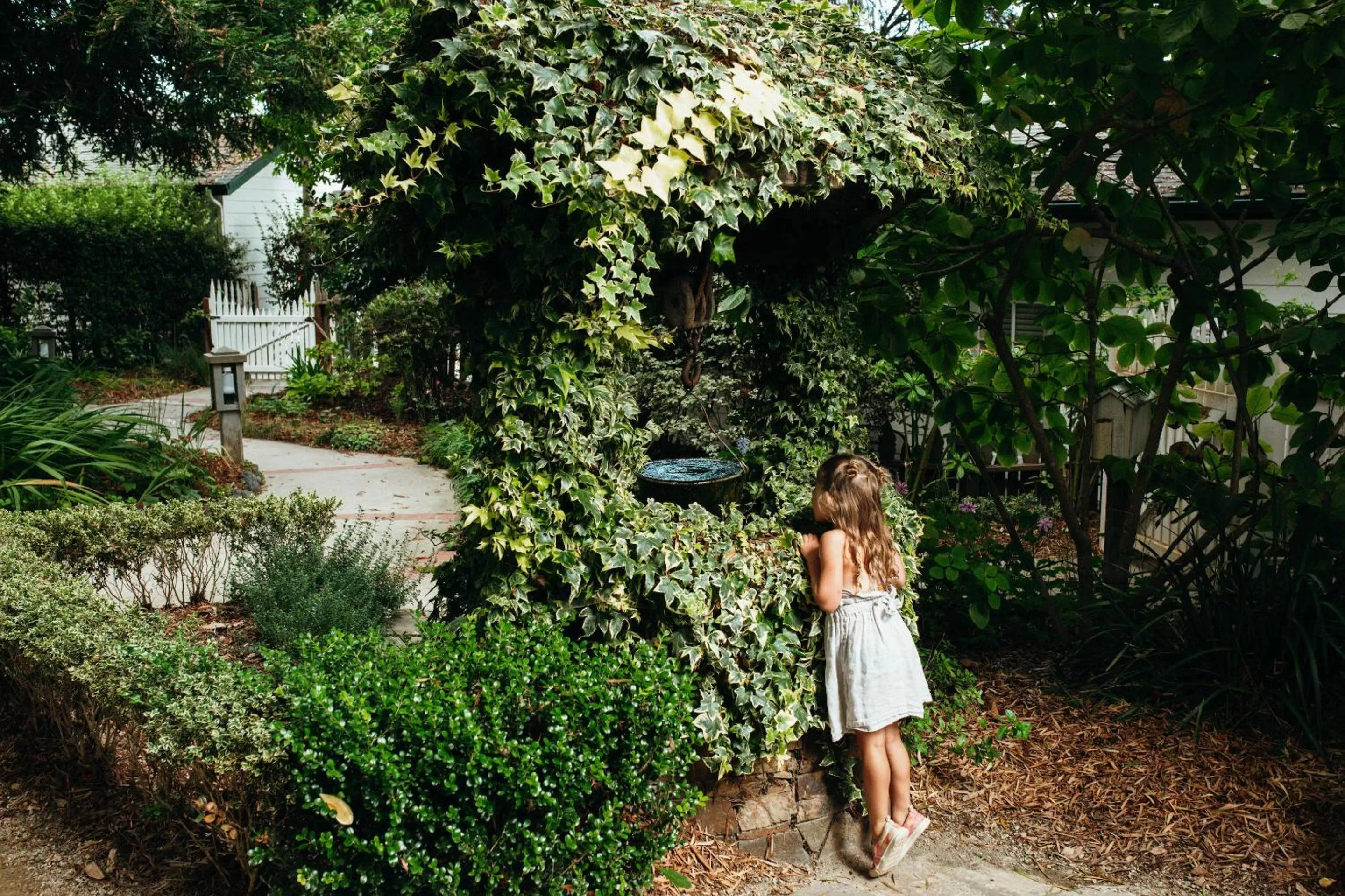 Garden in Cambria Pines Lodge