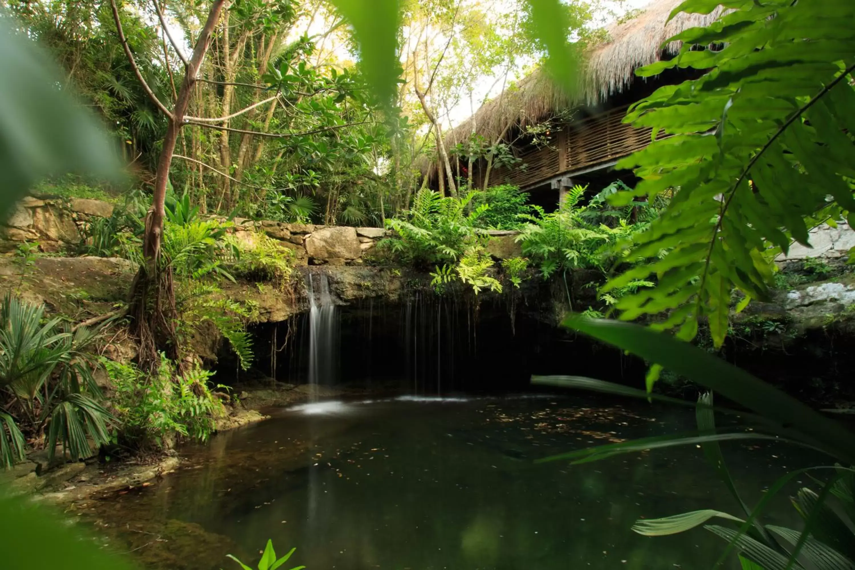Natural landscape in Grand Velas Riviera Maya - All Inclusive