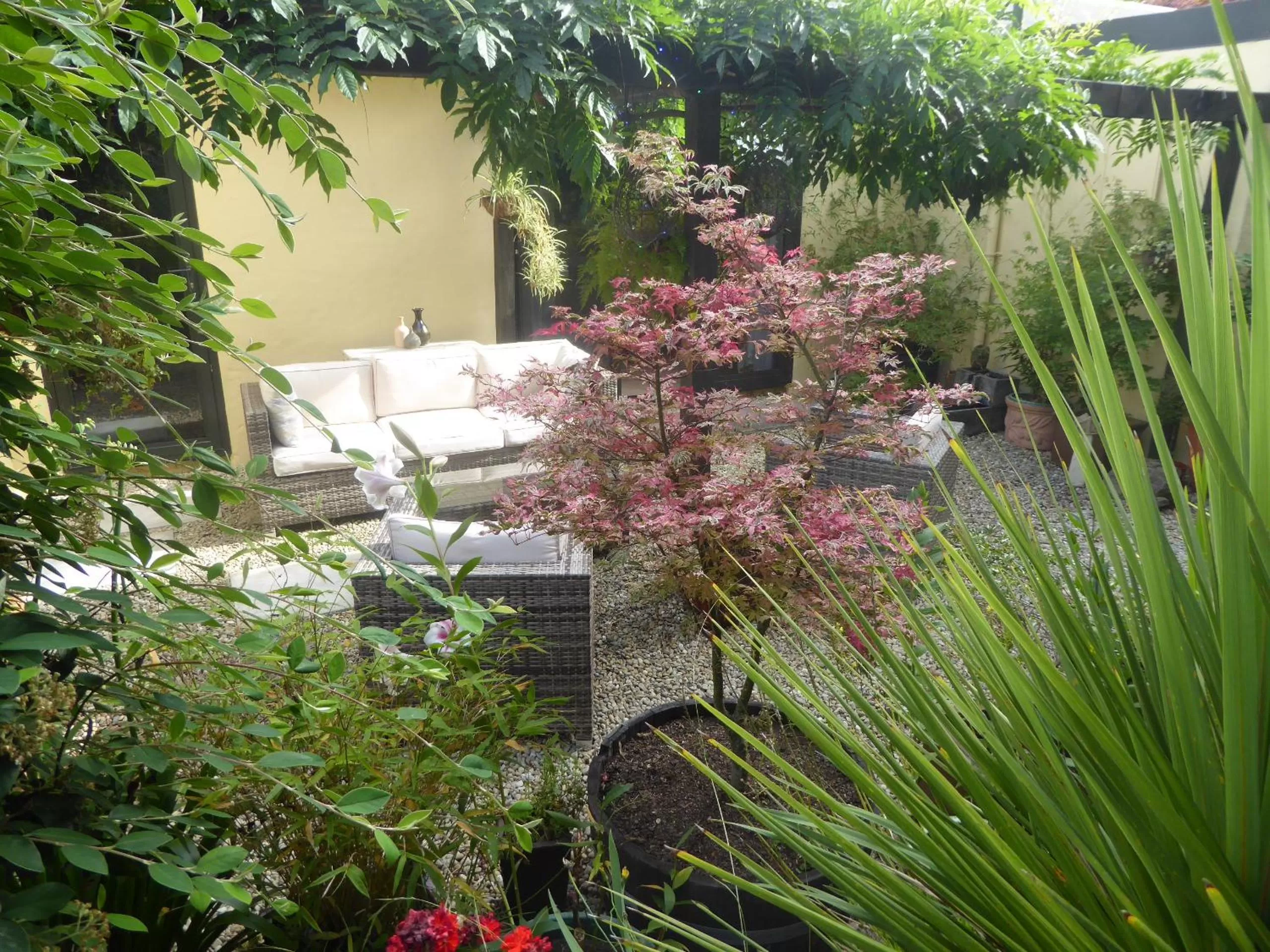 Garden in Hazelwood Mapua