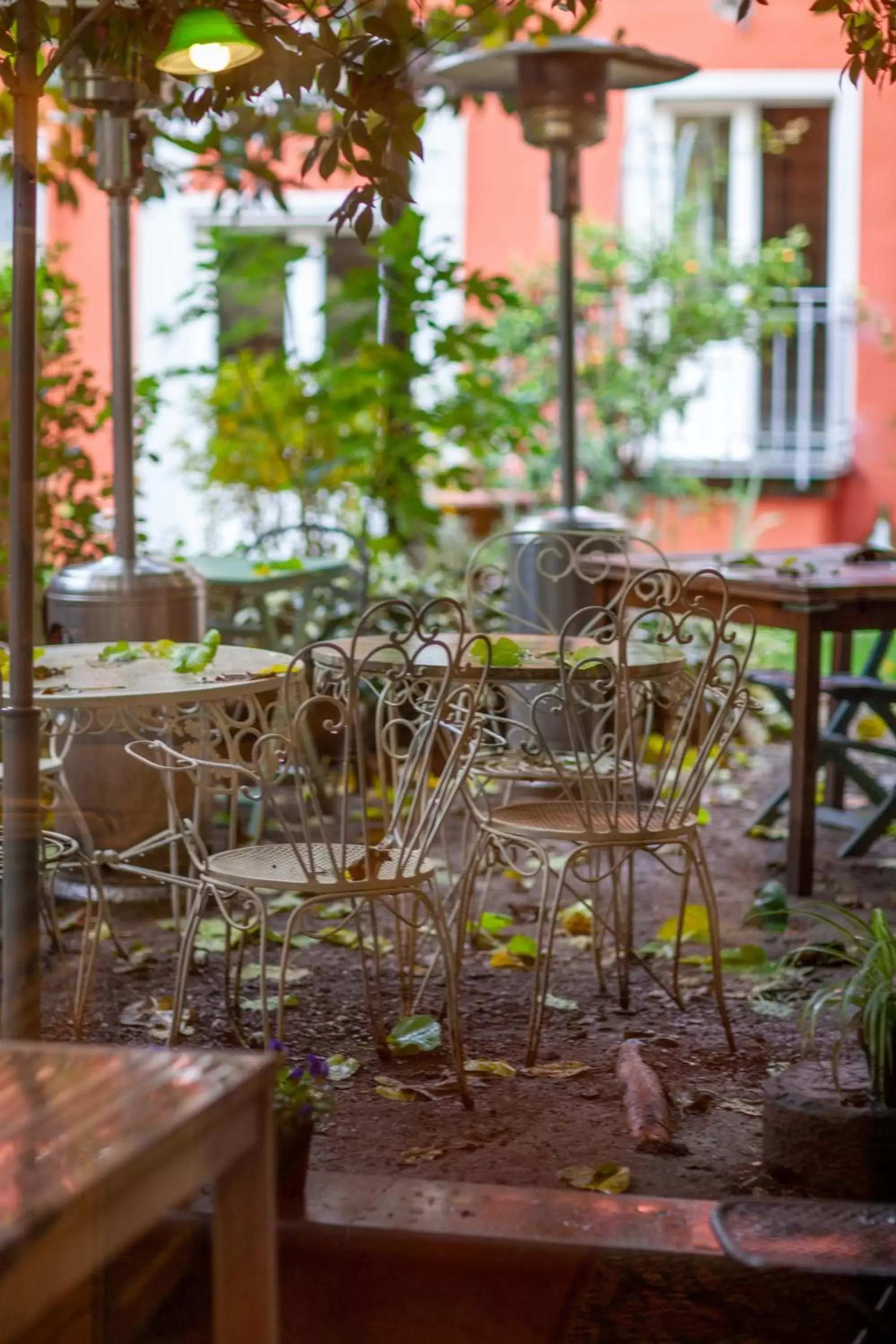 Garden, Restaurant/Places to Eat in Secret Garden Firenze