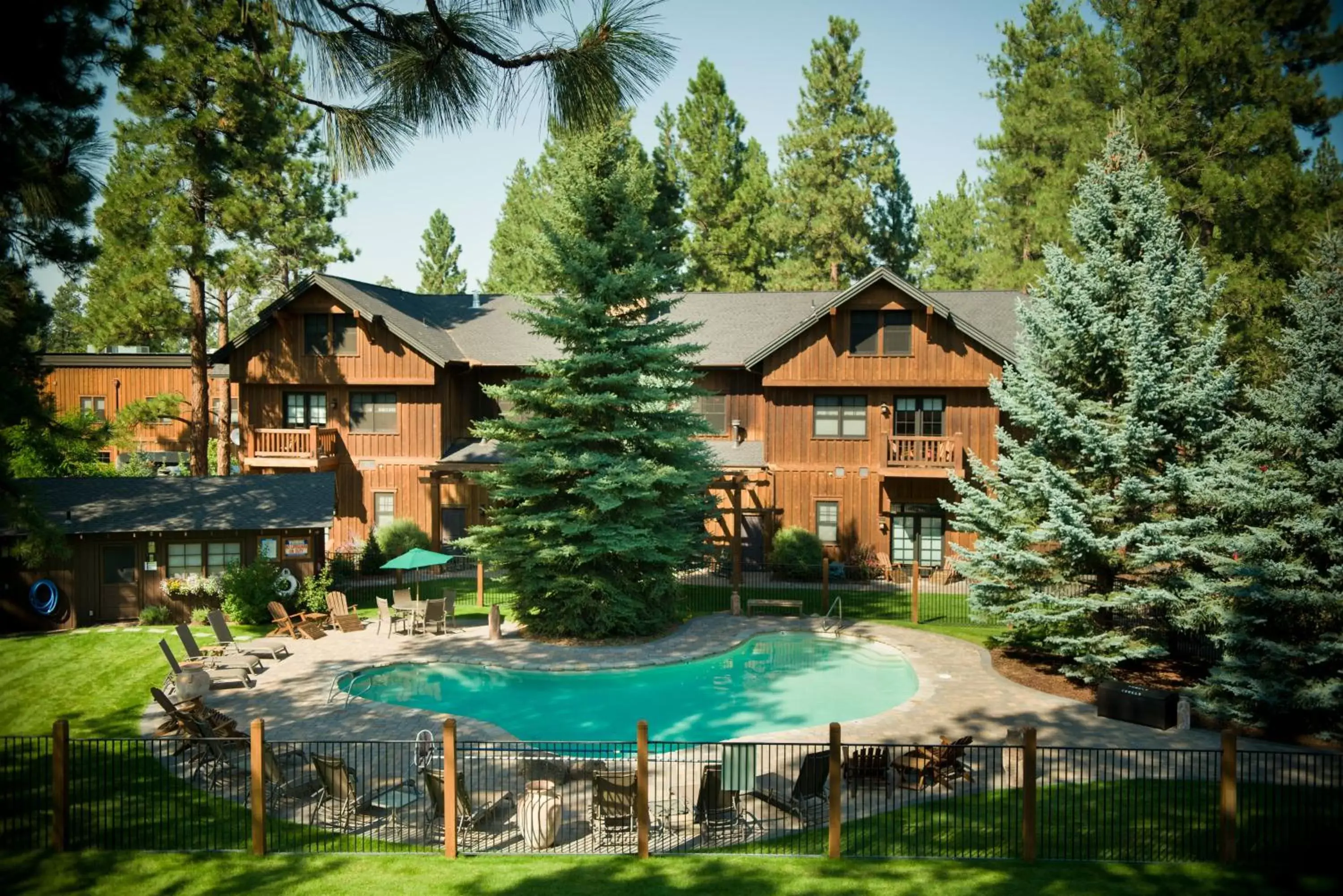 Swimming Pool in FivePine Lodge