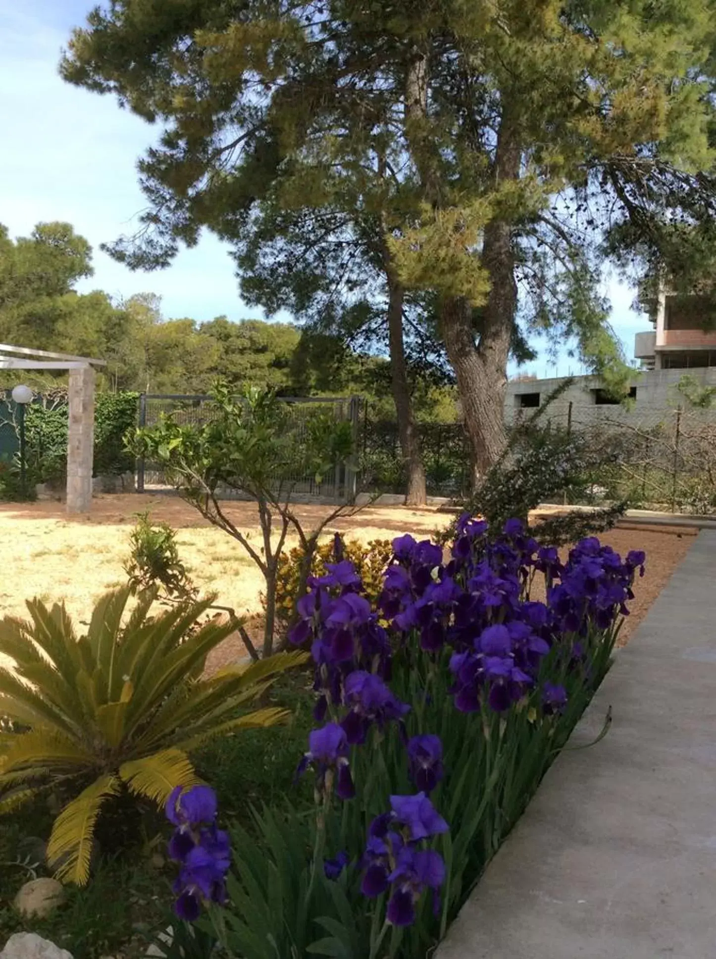 Garden in Villa Soleanna Residence