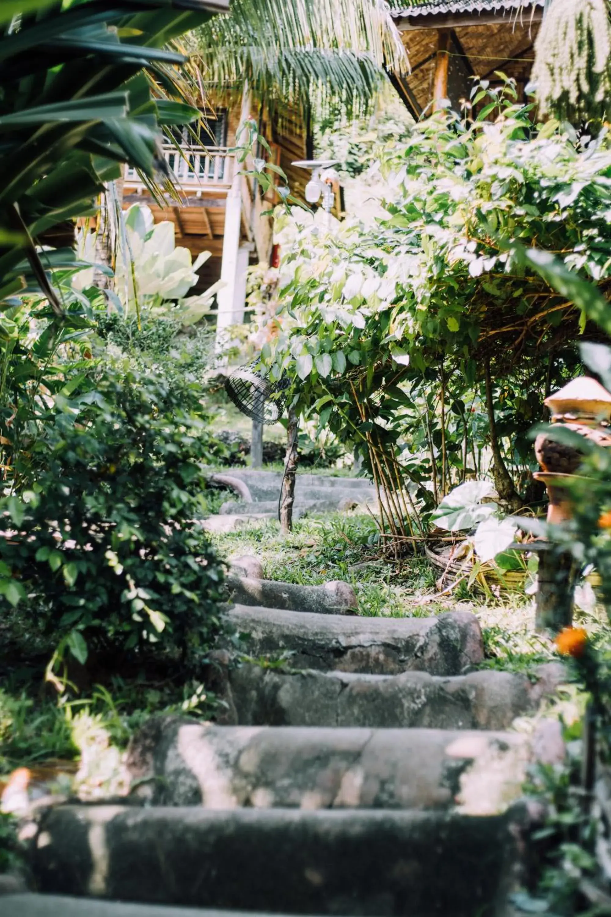 Garden view, Garden in Railay Garden View Resort