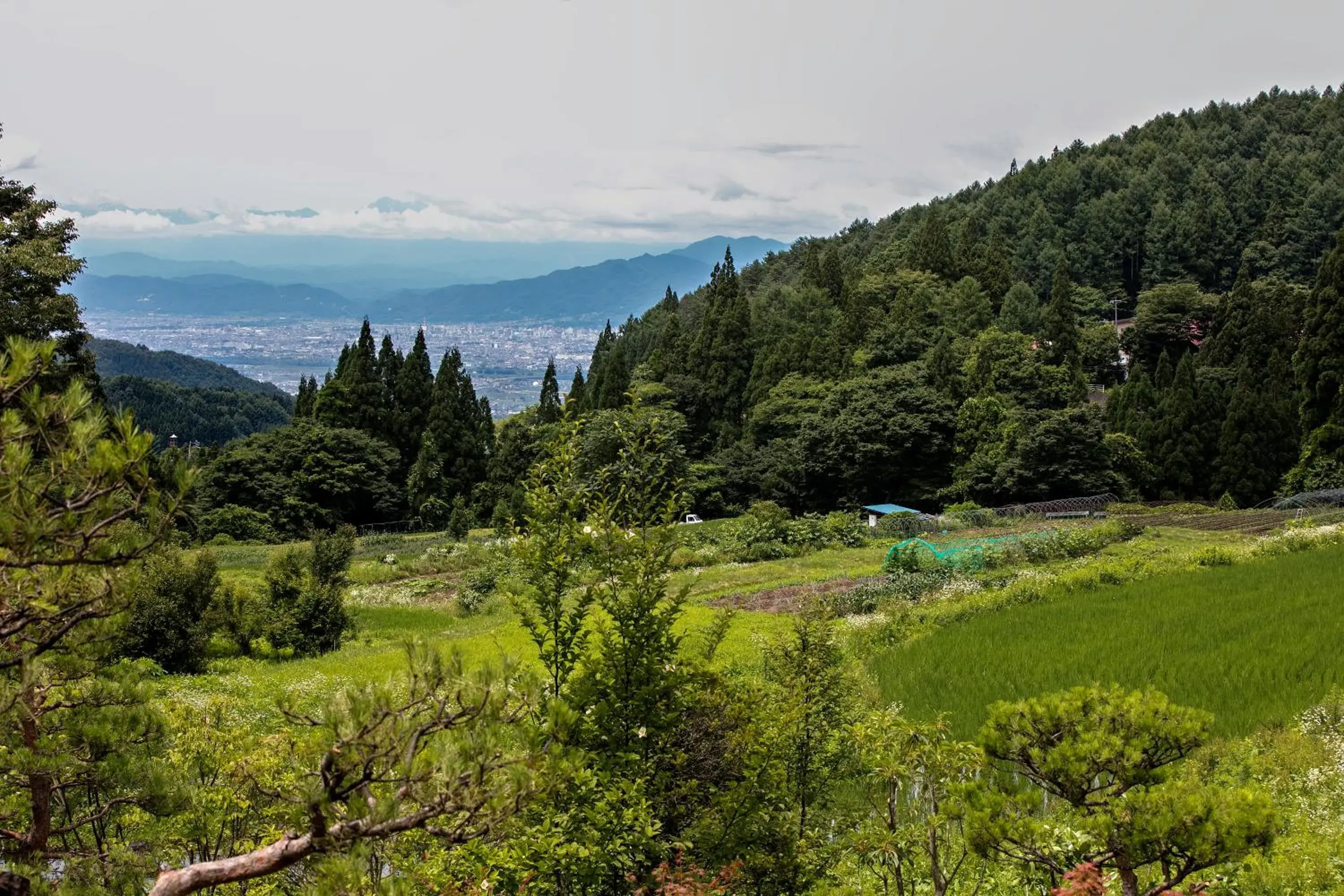 Natural Landscape in Ryokan Warabino