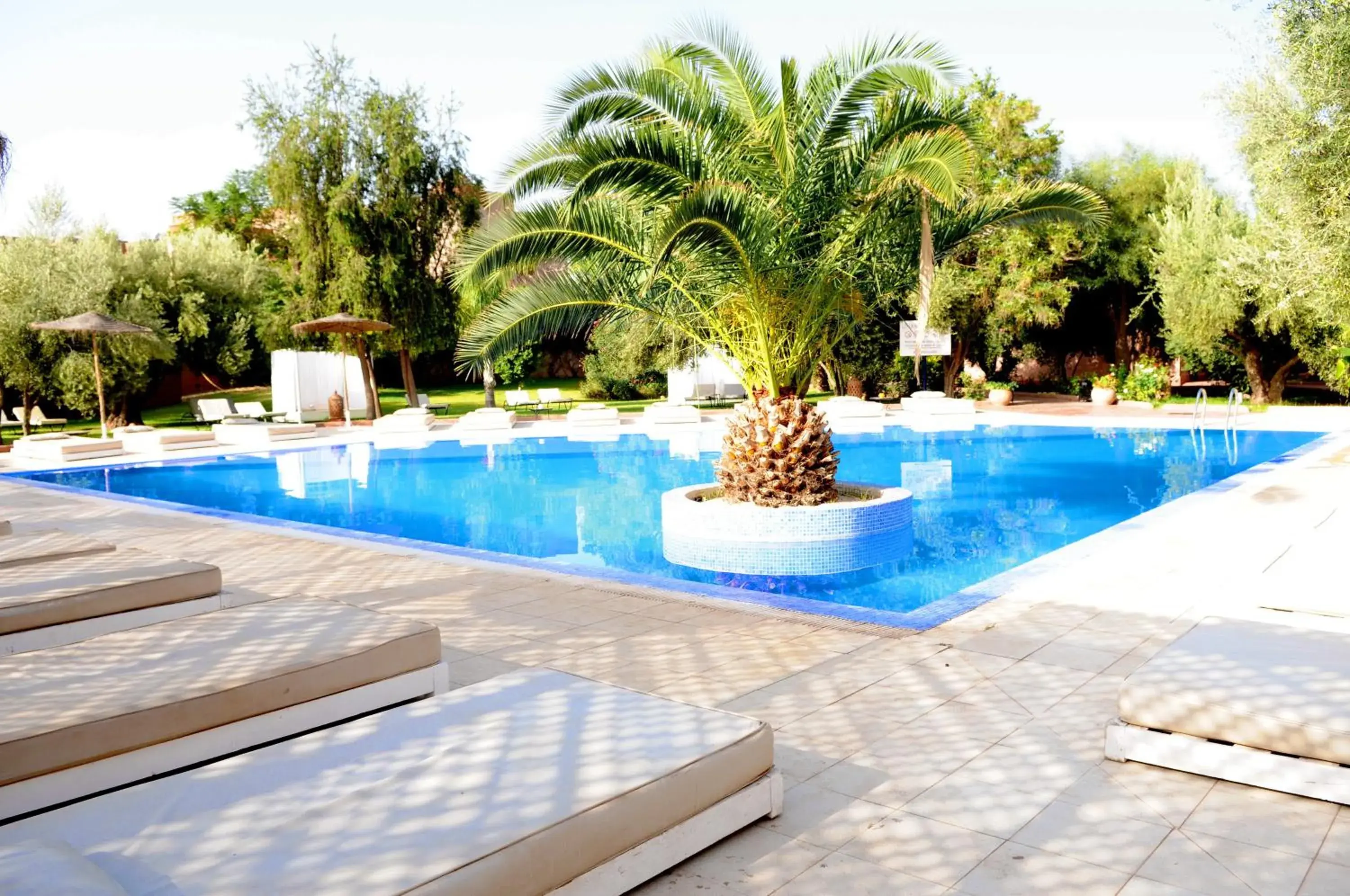 Swimming Pool in La Maison Des Oliviers