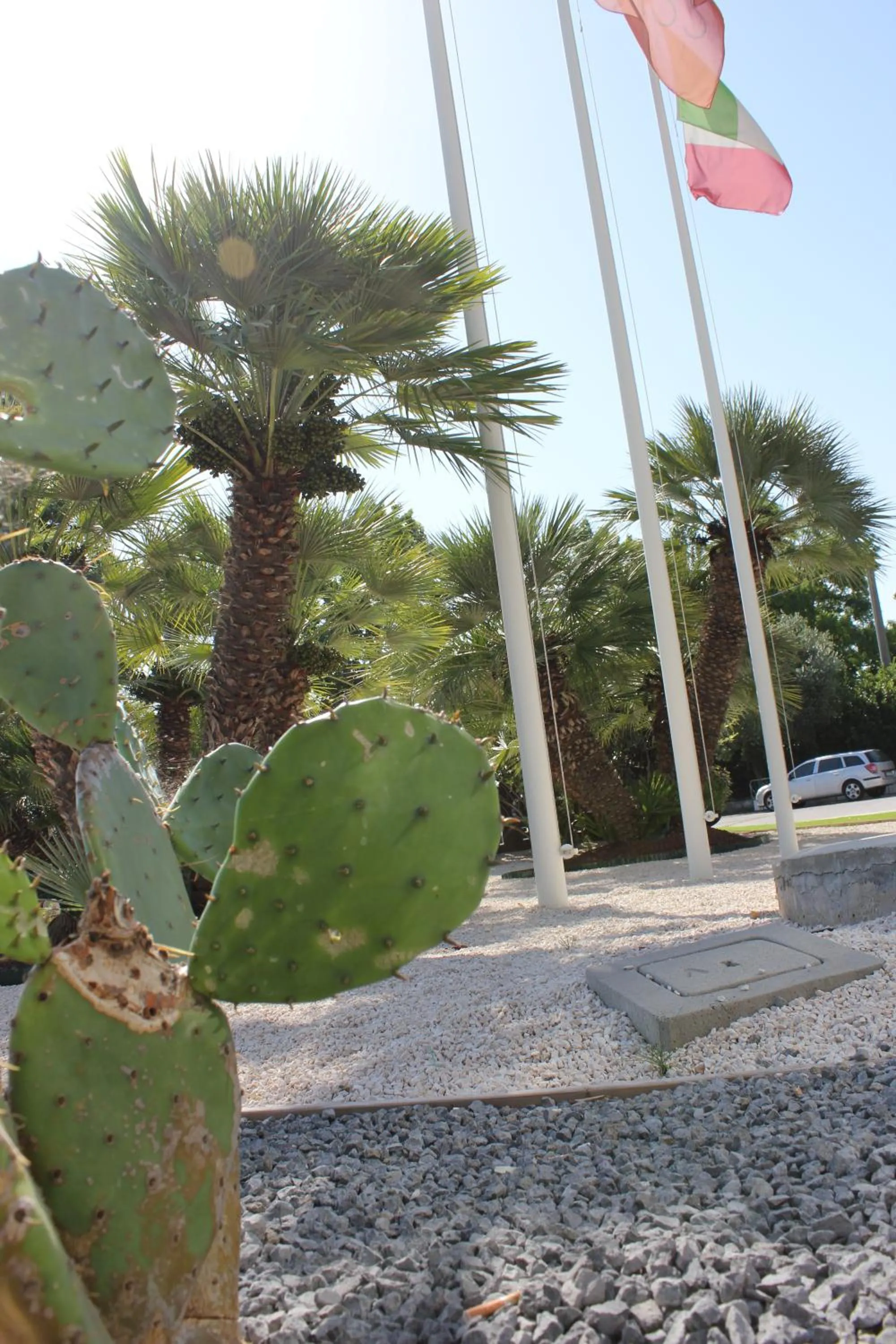 Area and facilities in Klass Hotel