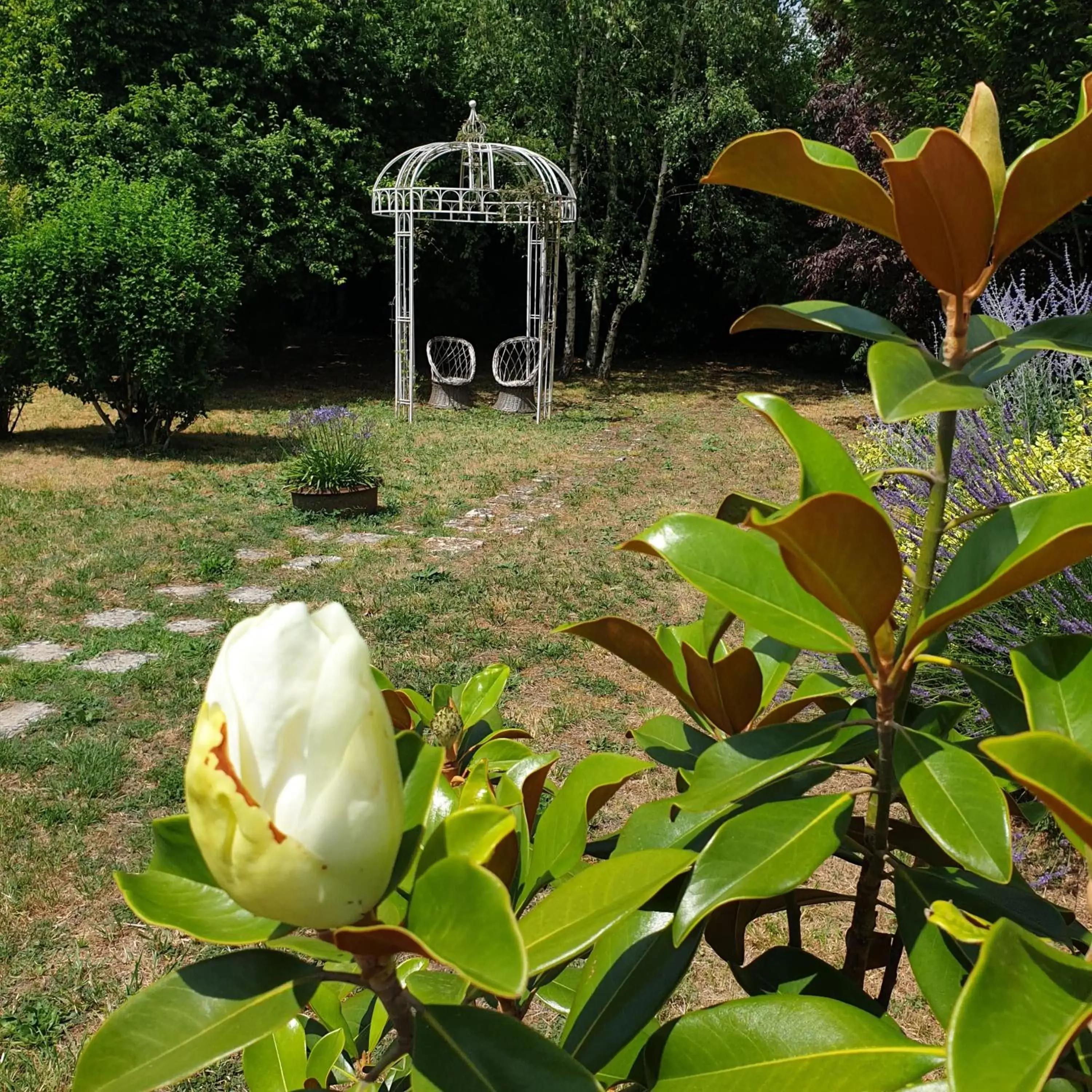 Garden in La Maison des Thermes, Chambre d'hôte