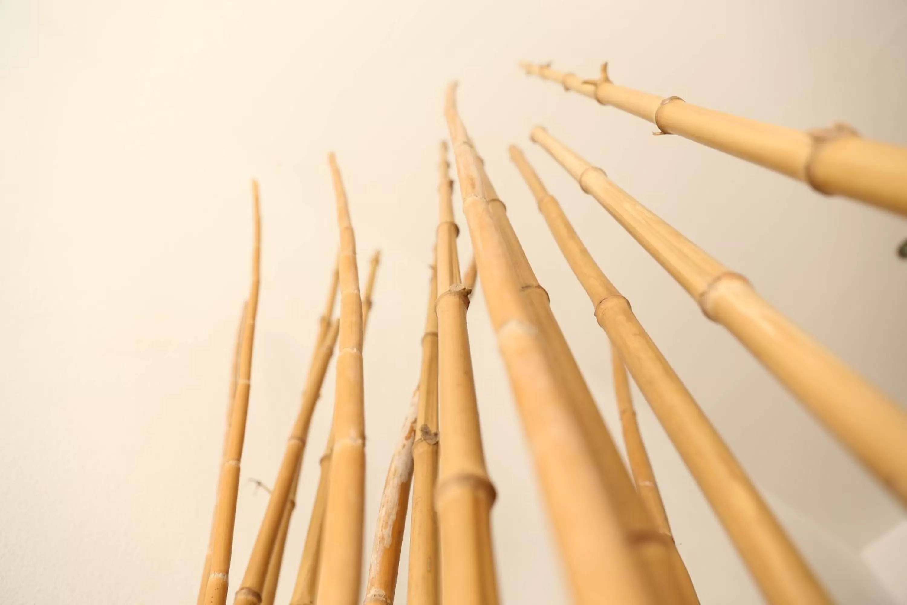 Decorative detail in Villas H2O