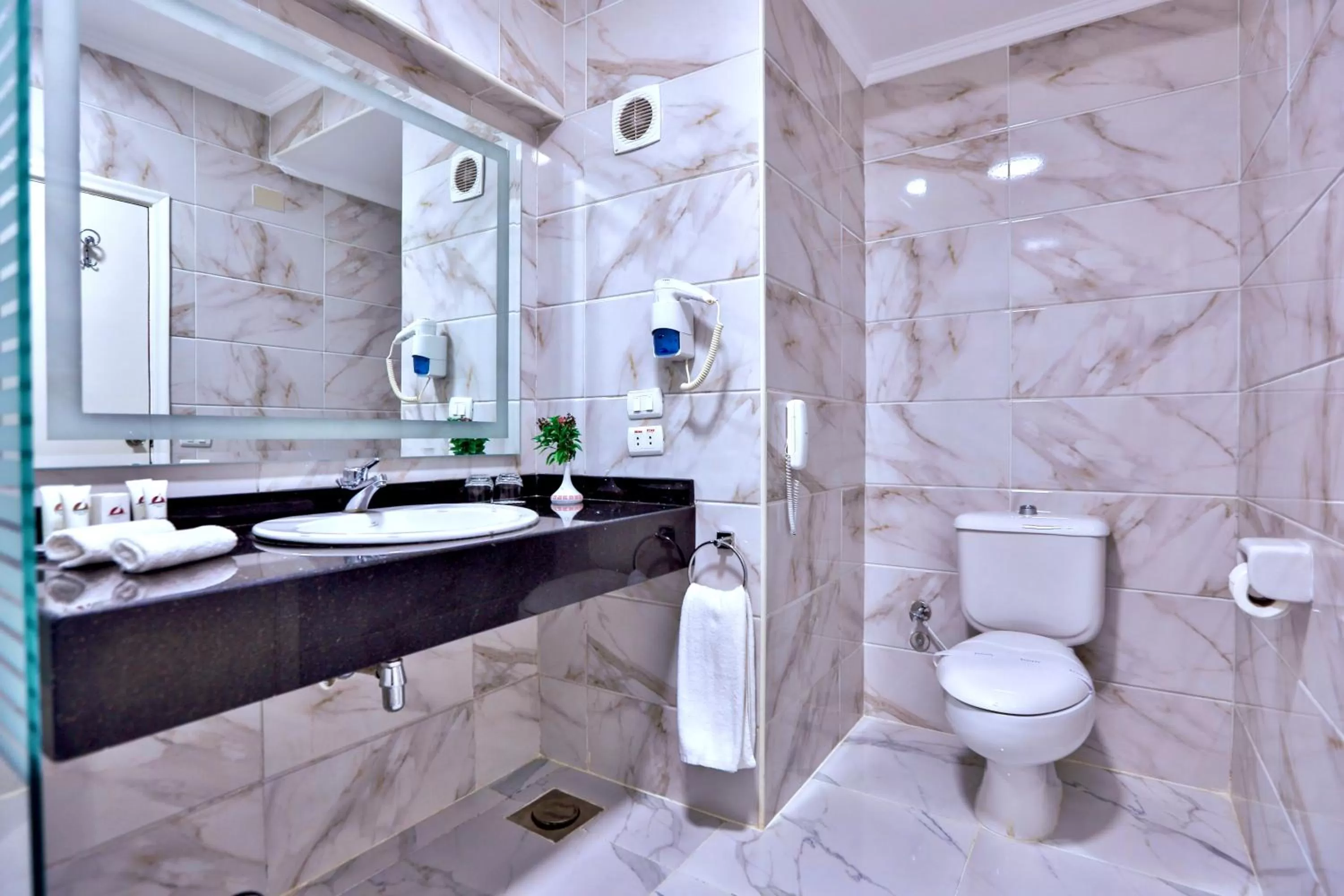 Toilet in Basma Hotel Aswan