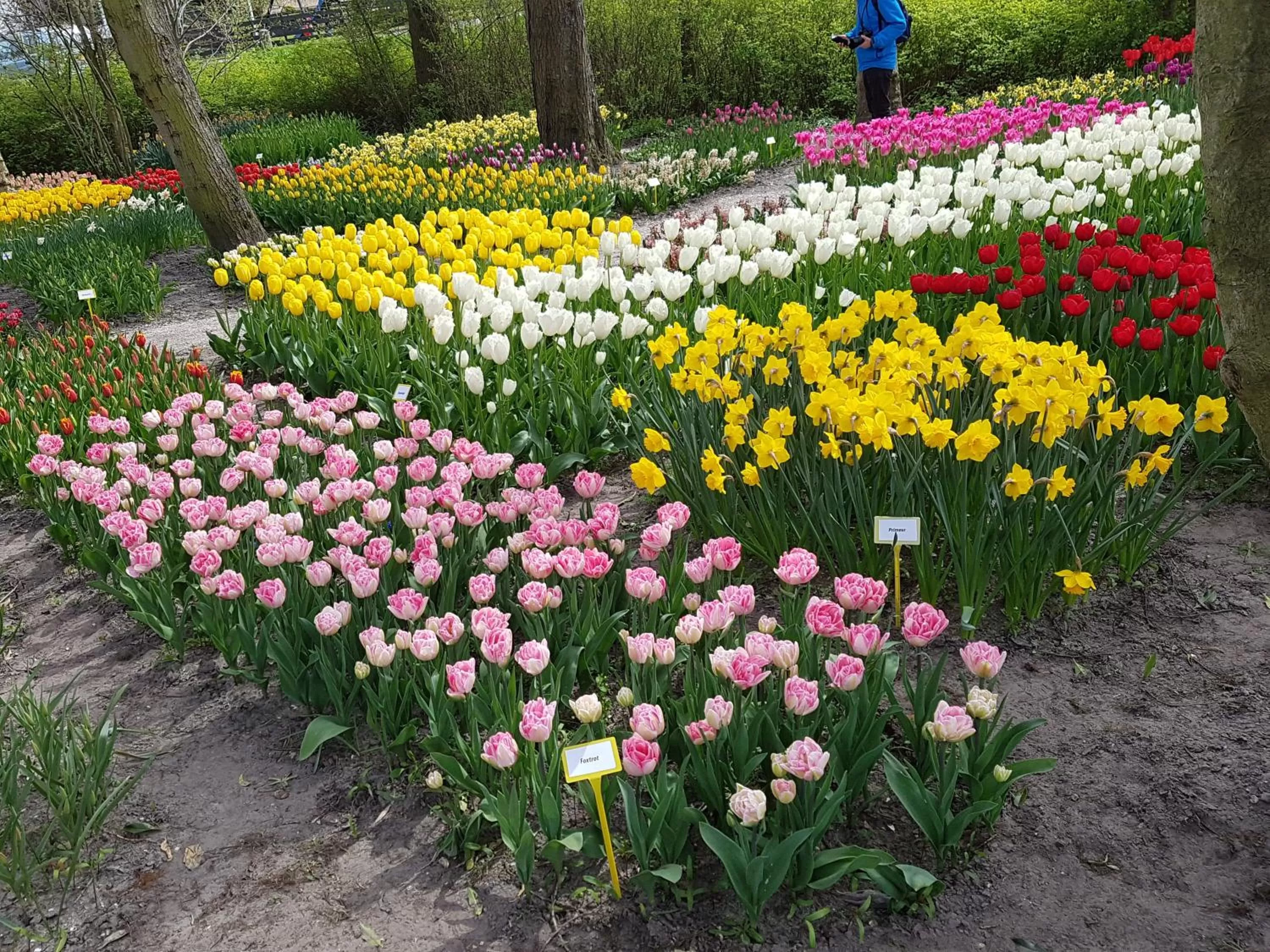 Garden in Bed & Breakfast Moments