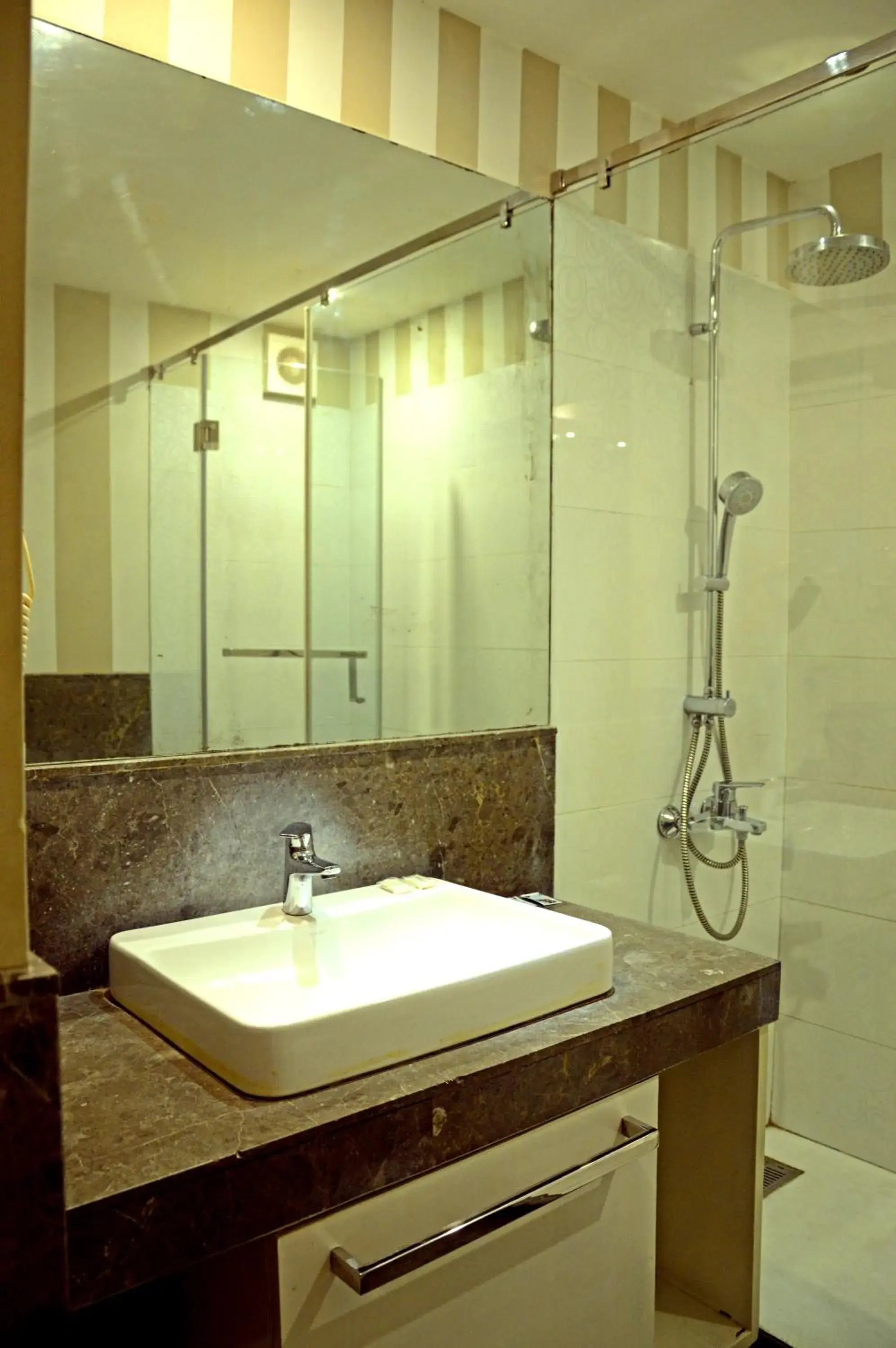 Bathroom in Hotel Ajanta