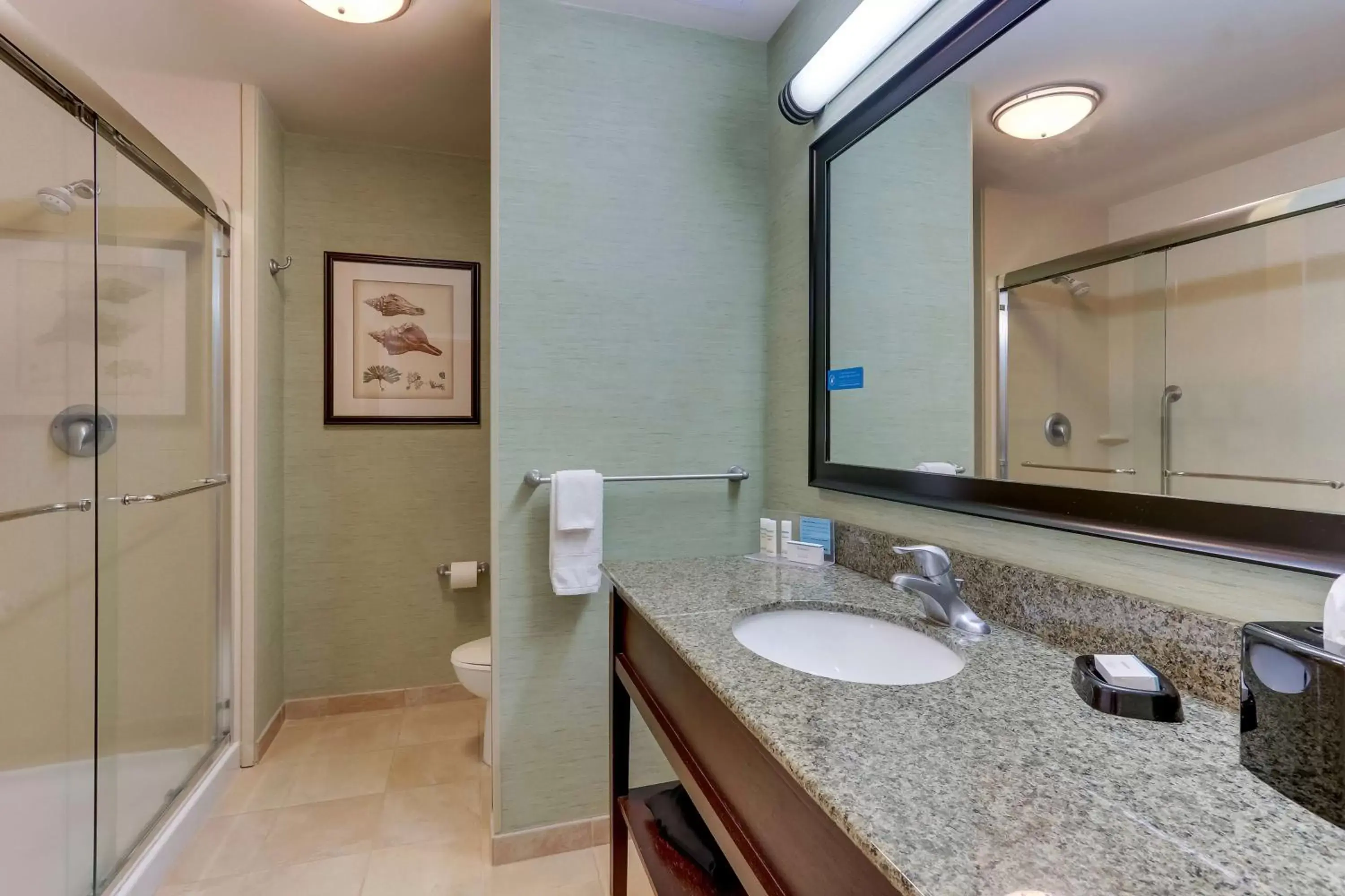Bathroom in Hampton Inn and Suites Swansboro Near Camp Lejeune