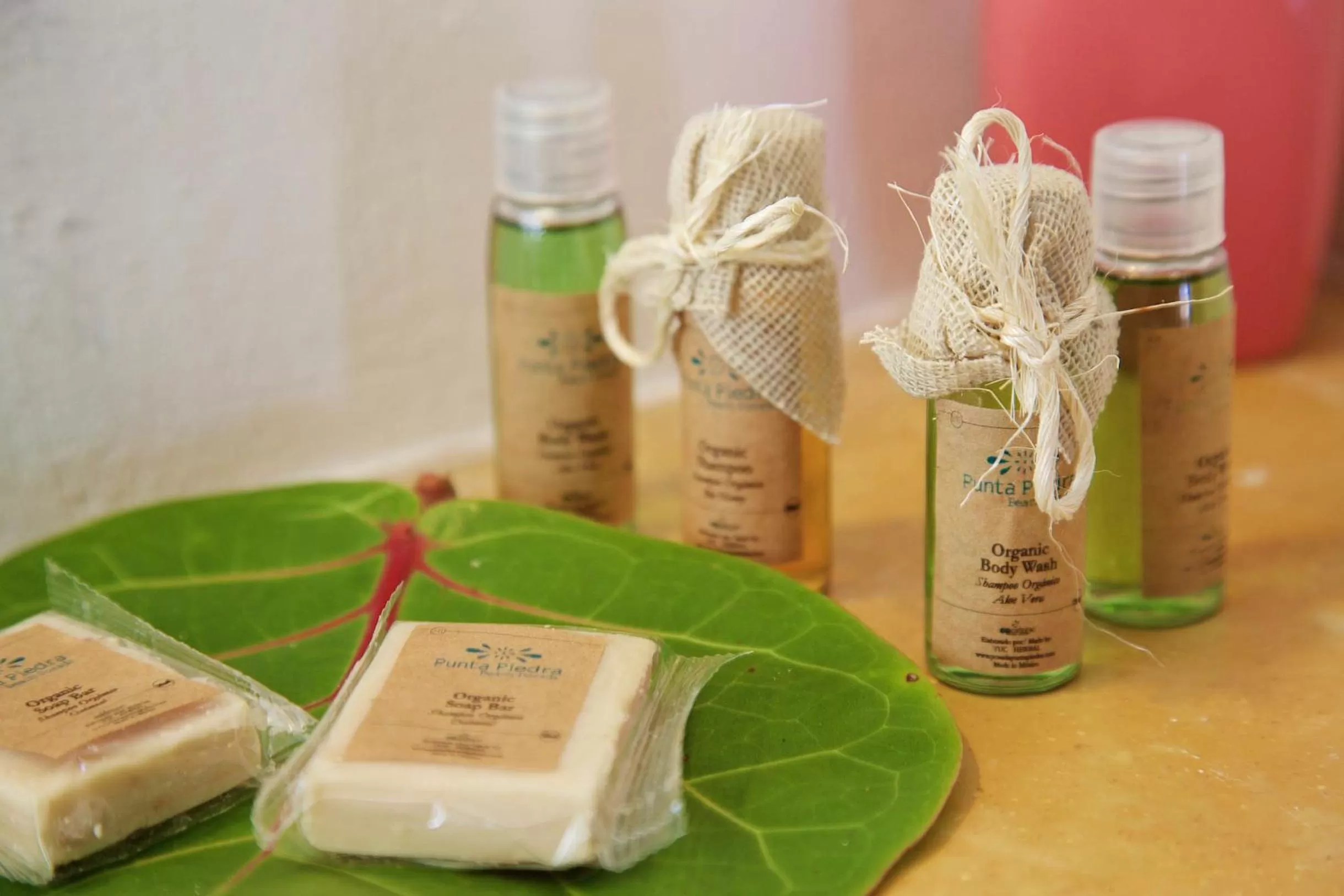 Decorative detail in Punta Piedra Beach Posada