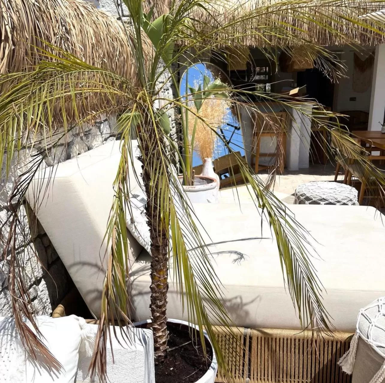 Garden view in Voger Alaçatı Silence