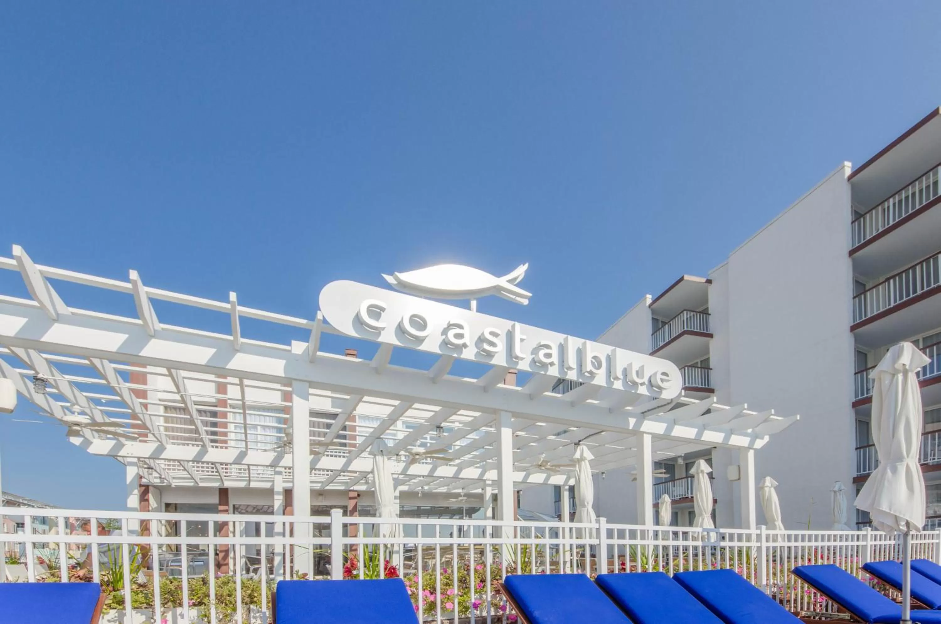 Day in ICONA Diamond Beach