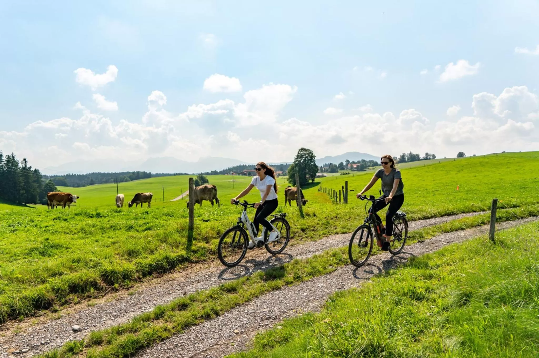 Cycling in Das Weitblick Allgäu