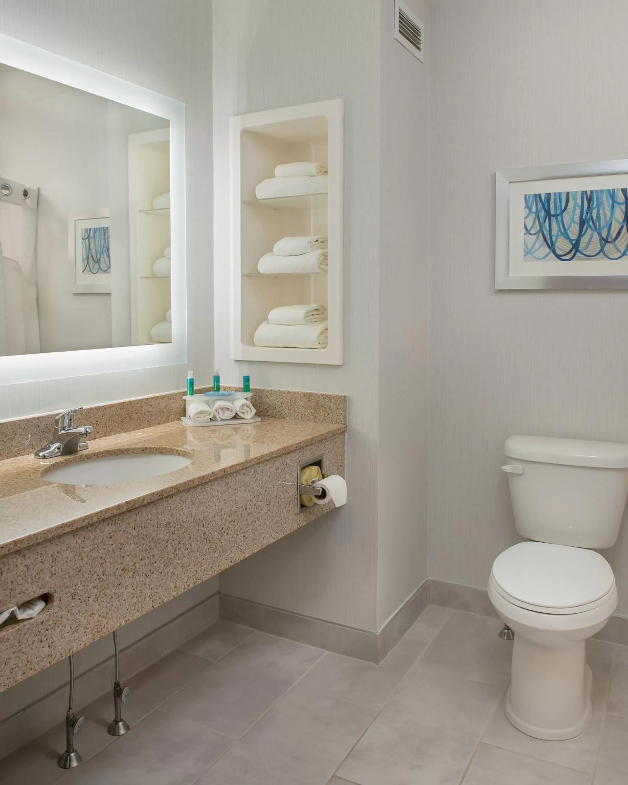 Bathroom in Holiday Inn Express Hotel & Suites Clifton Park by IHG
