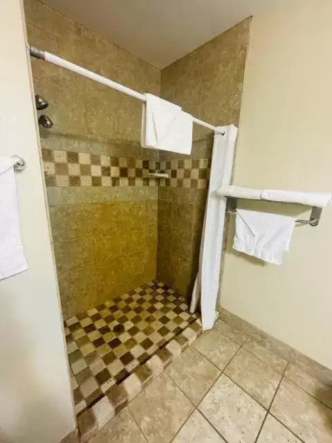 Shower, Bathroom in Comfort Inn Hebron-Lowell Area
