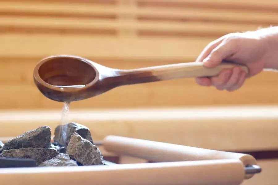 Sauna in Chalet Mounier