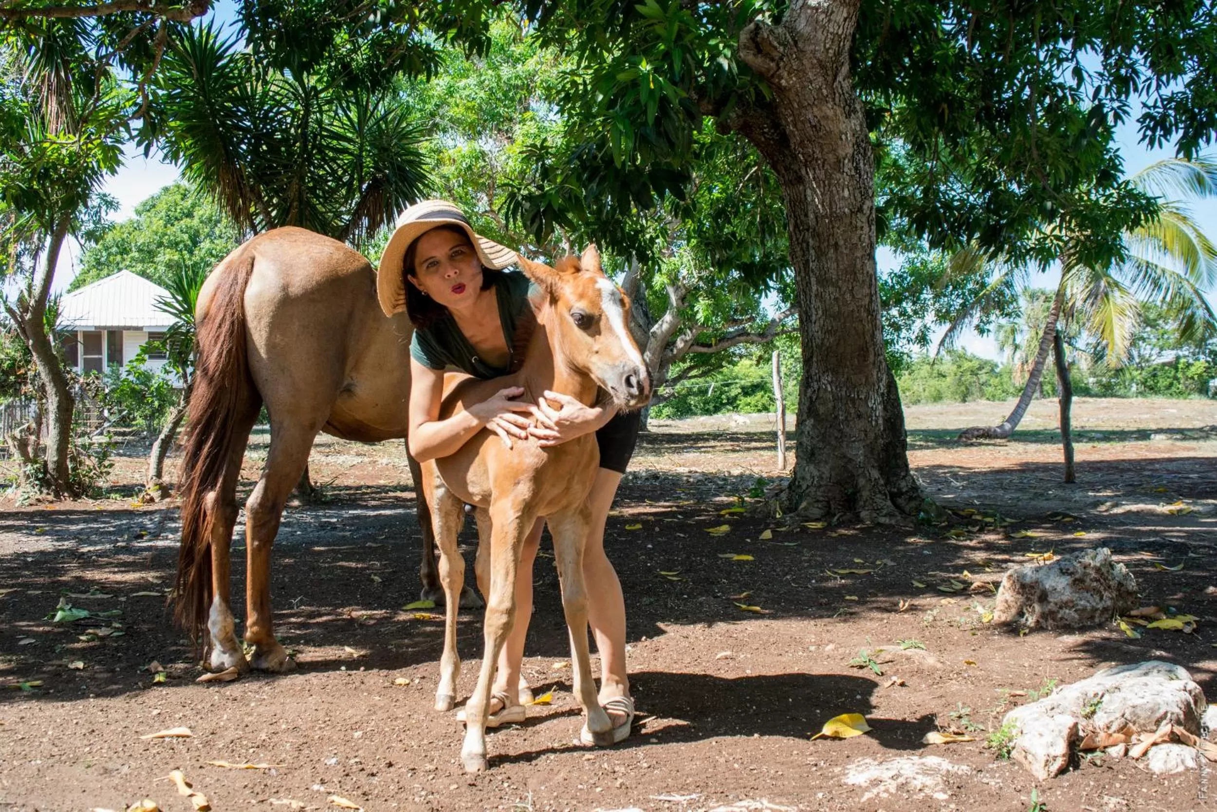 Horse-riding in Horse Cottage