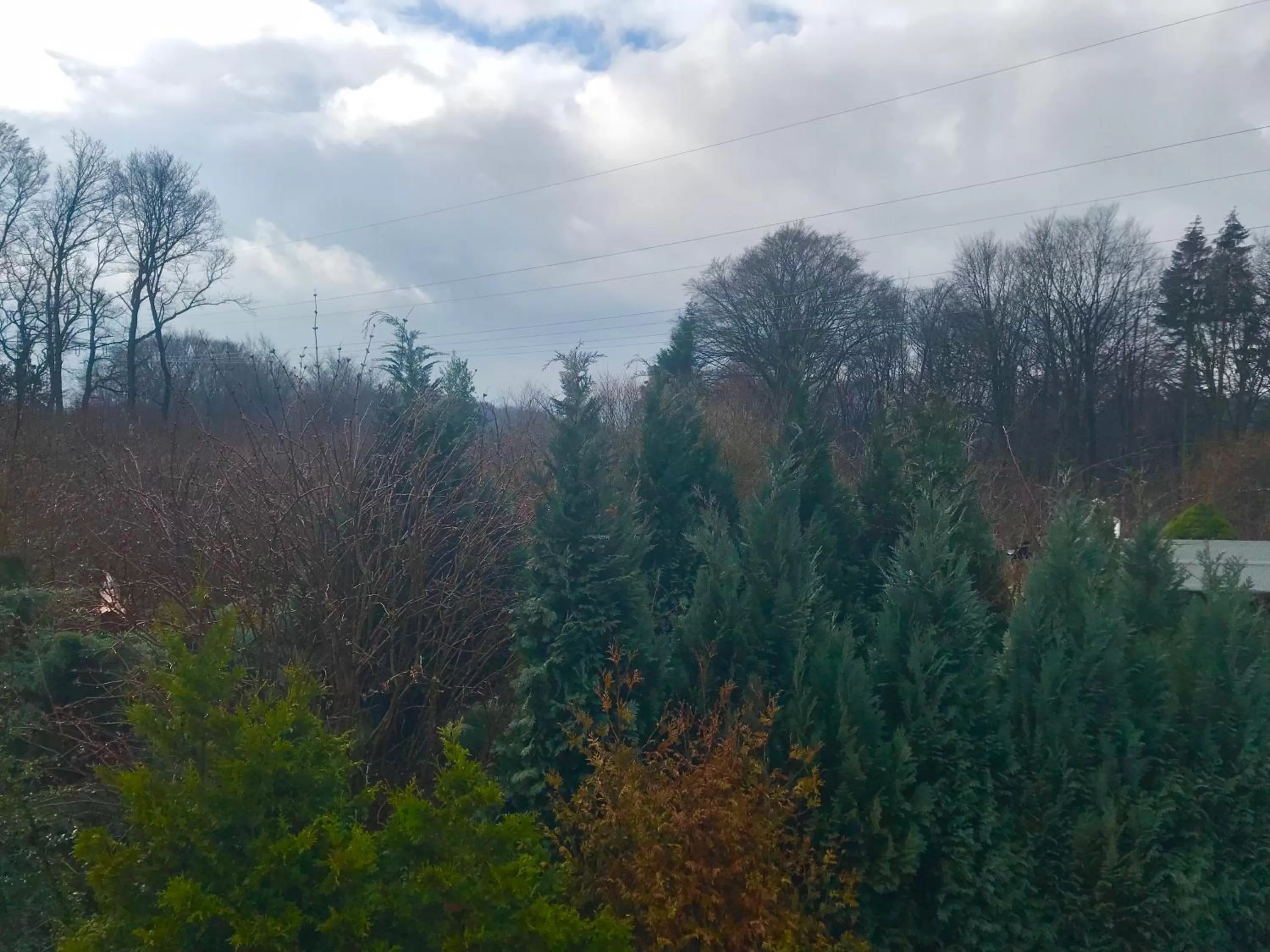 Waldhotel "Peter aufm Berge"