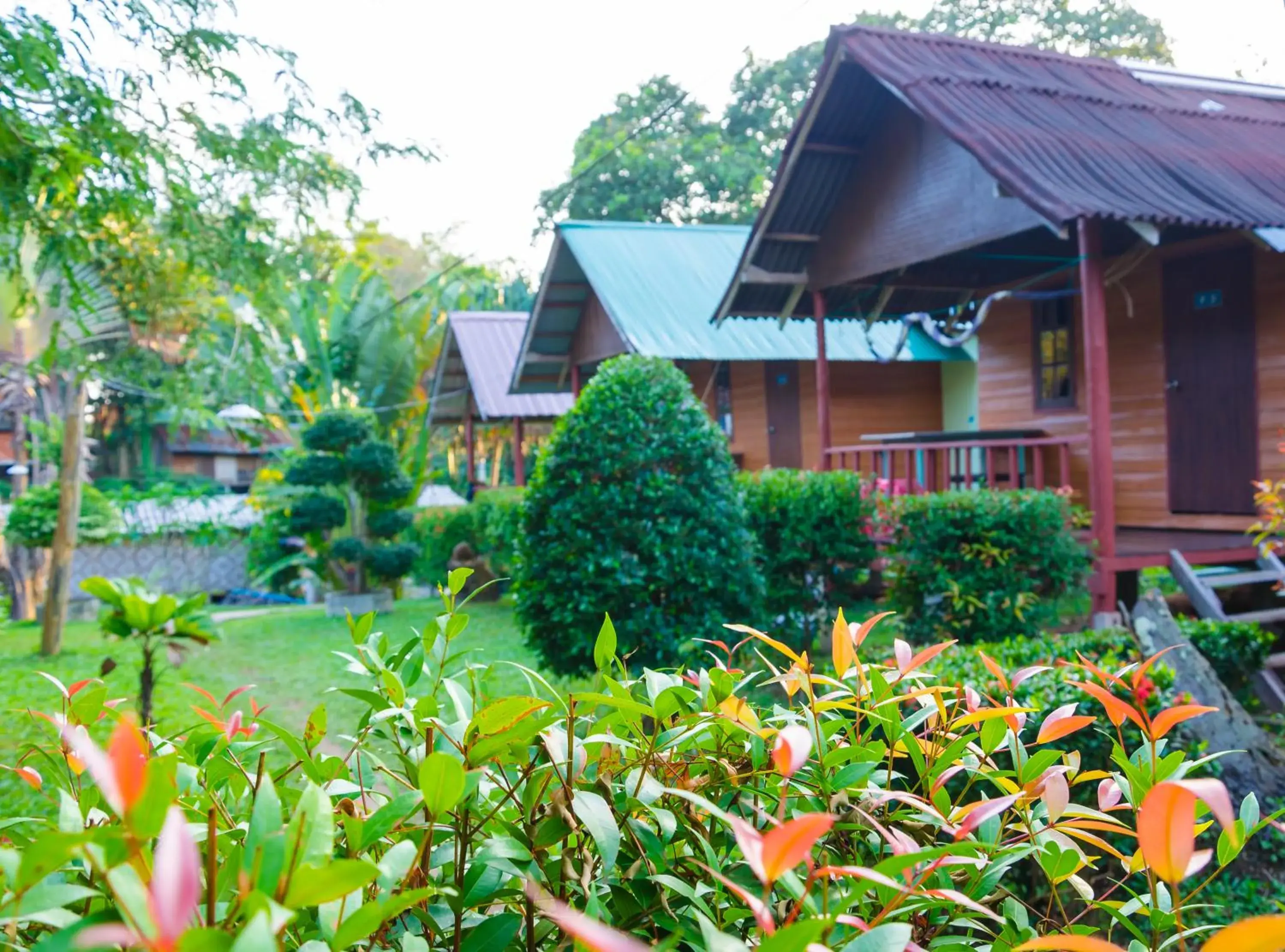 Garden, Property Building in Nature Beach Resort, Koh Lanta