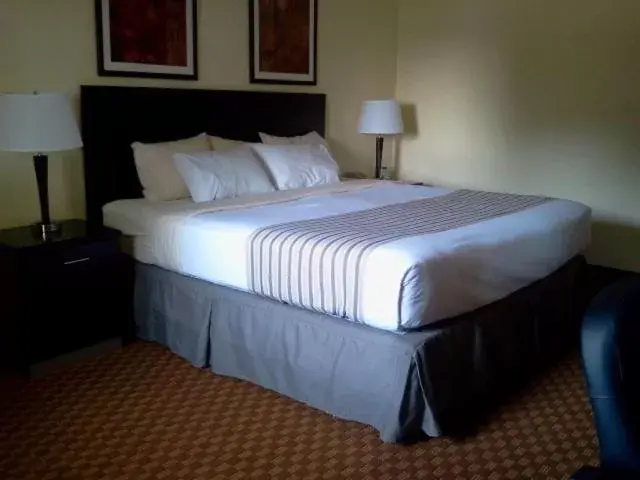 Queen Room - Disability Access/Non-Smoking in Econo Lodge Inn & Suites Shamokin Dam - Selinsgrove