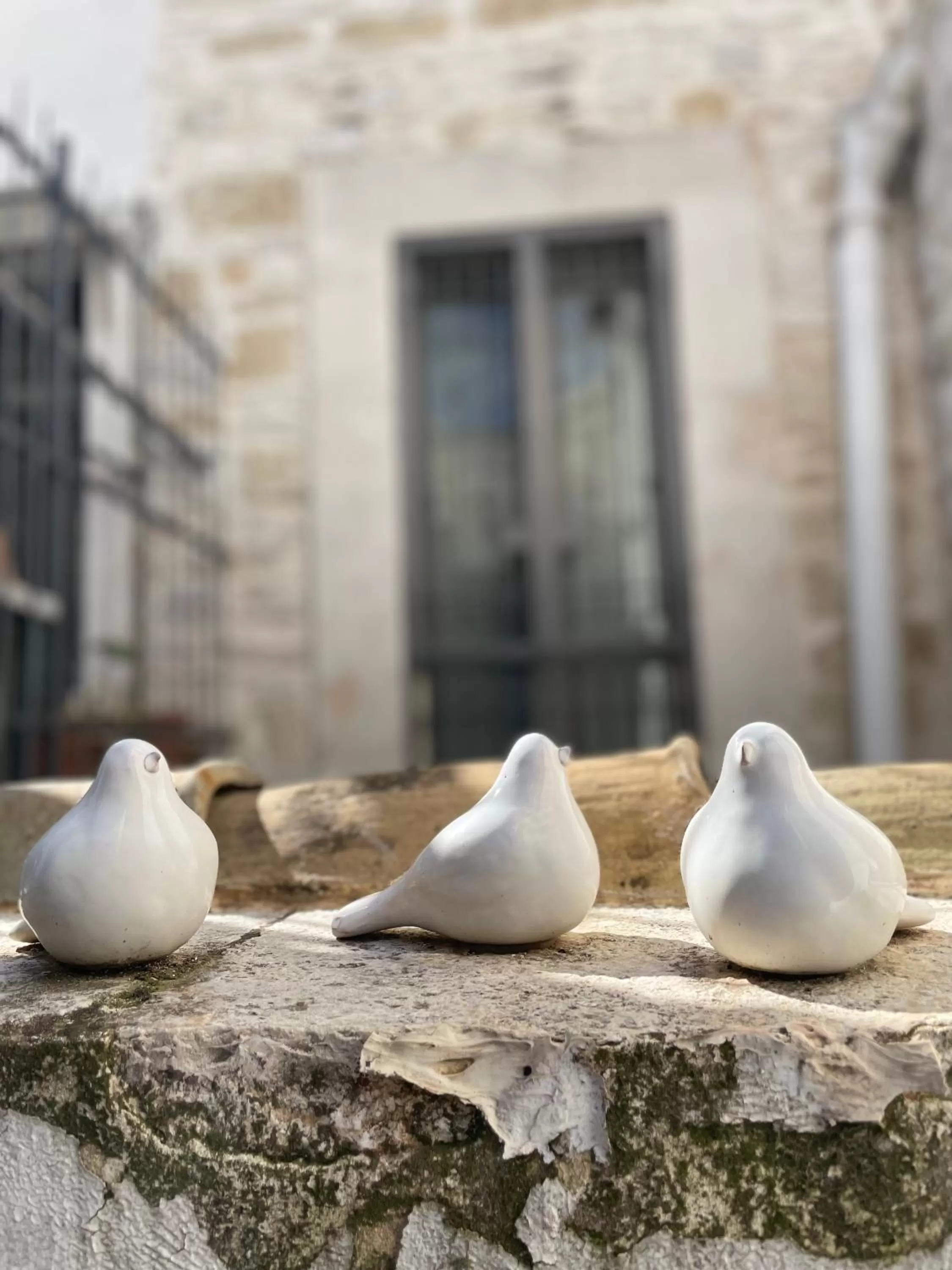 Palazzo Siena De Facendis