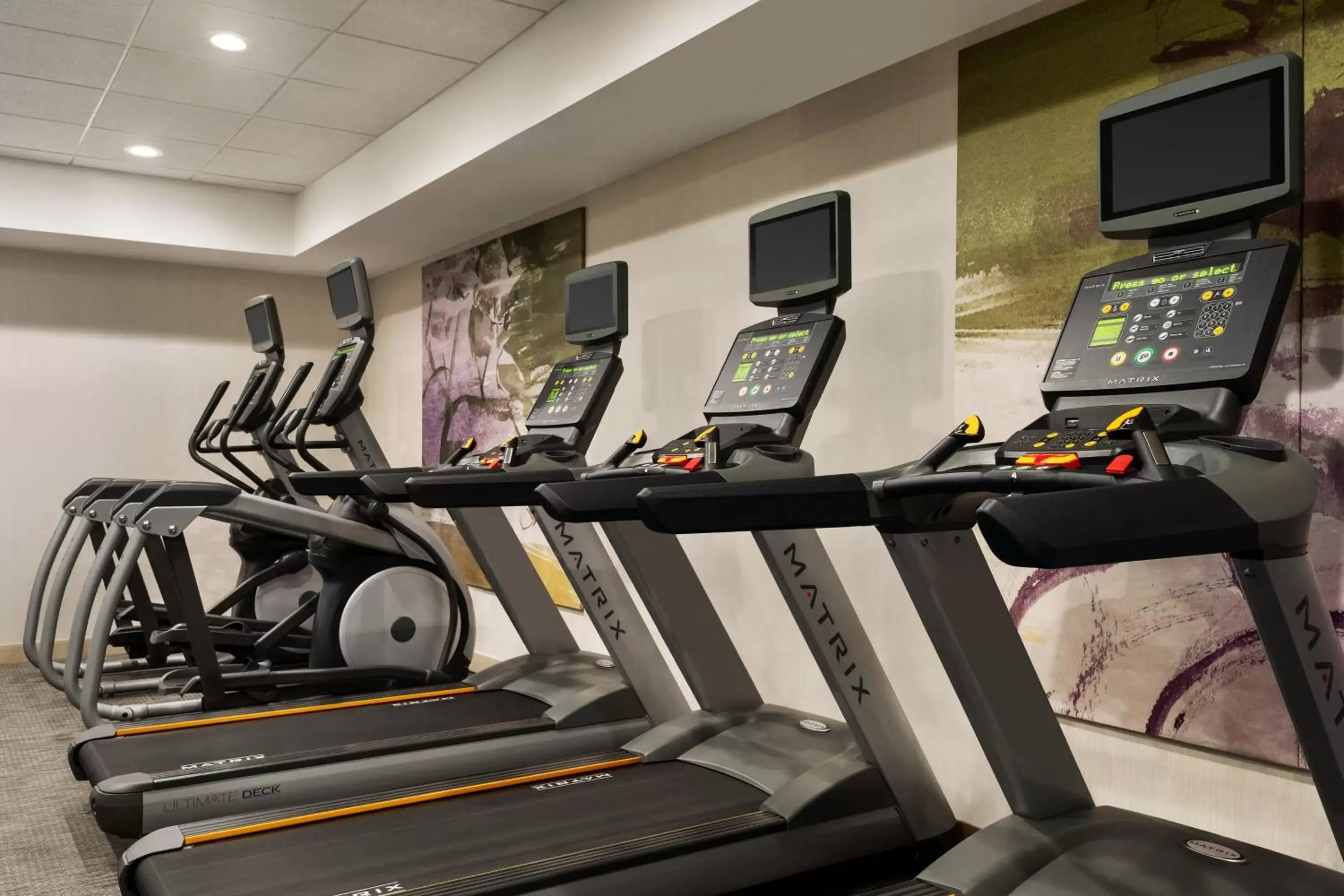 Fitness centre/facilities, Fitness Center/Facilities in Courtyard Greenville