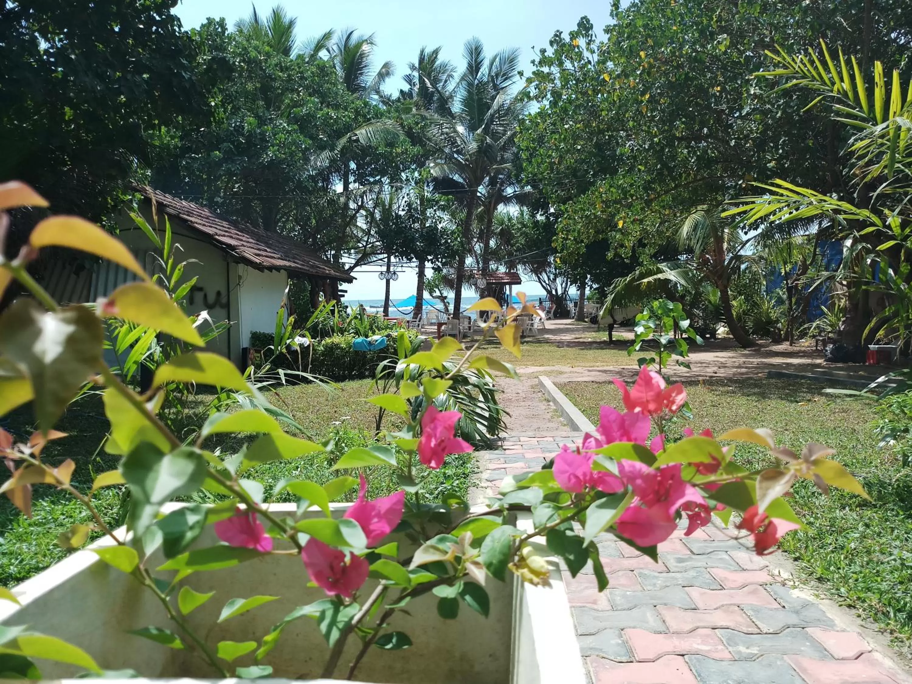 Turtle Bay Beach Resort