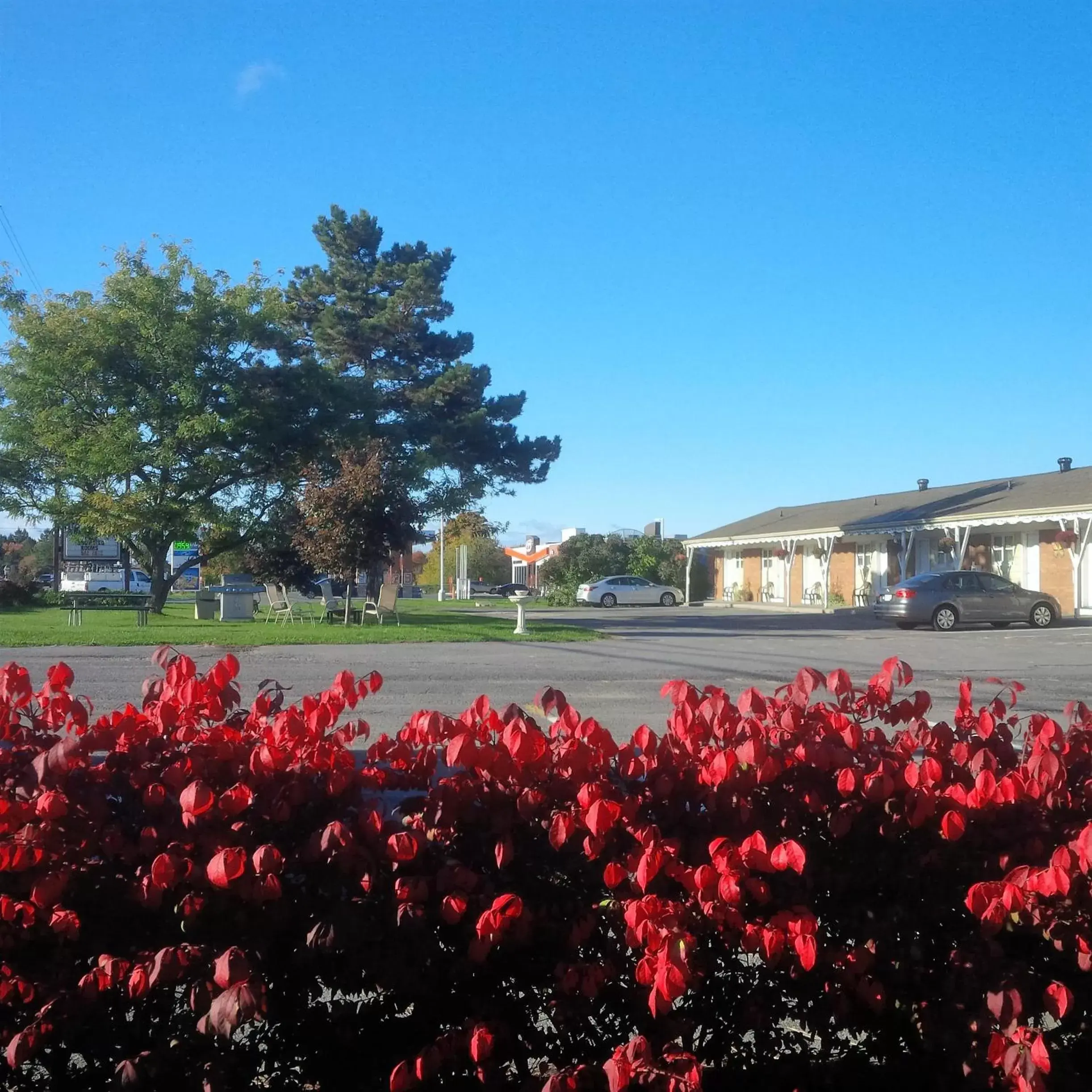 Autumn, Neighborhood in Lord Nelson Motel