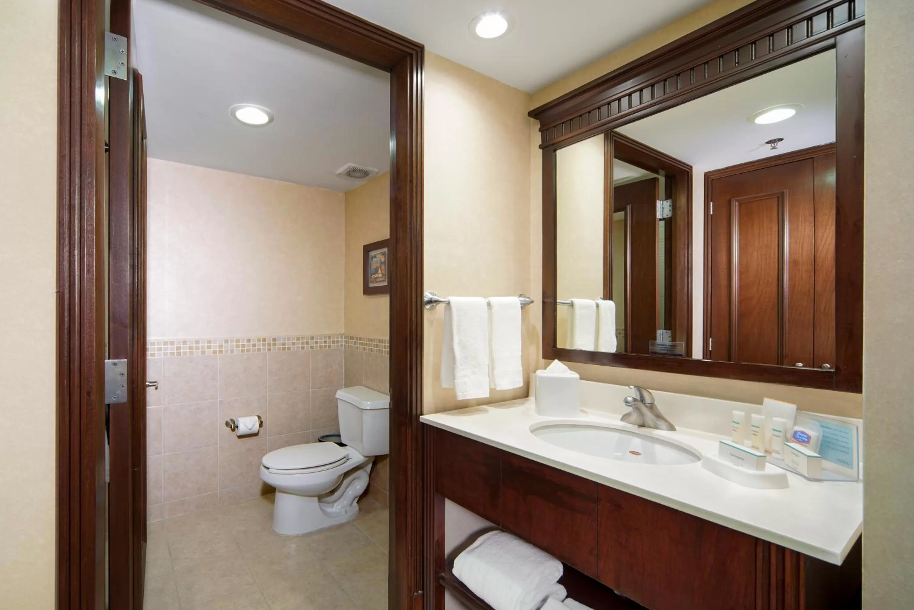 Bathroom in Hampton Inn & Suites Mexico City - Centro Historico