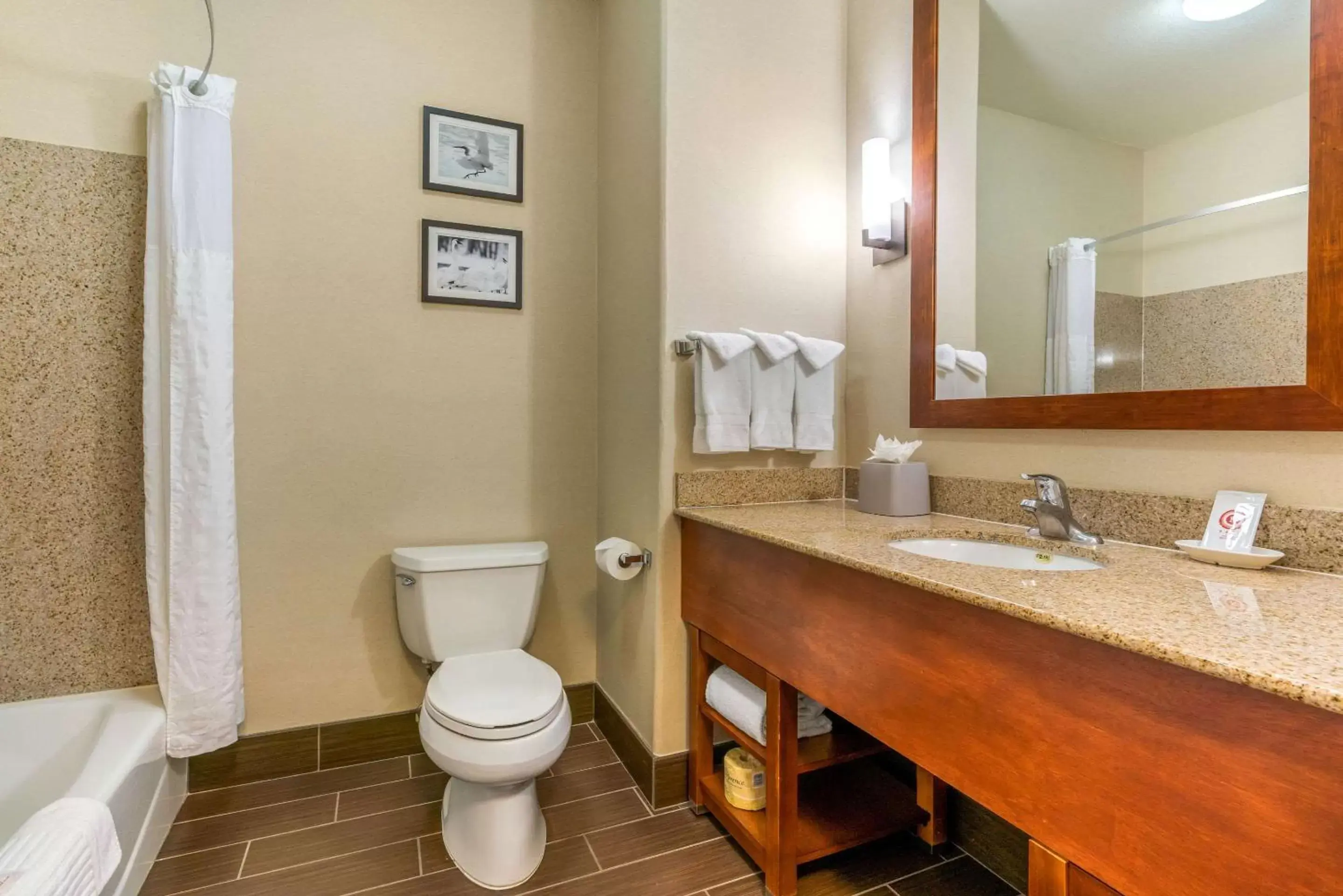 Photo of the whole room, Bathroom in Comfort Inn & Suites Galt – Lodi North