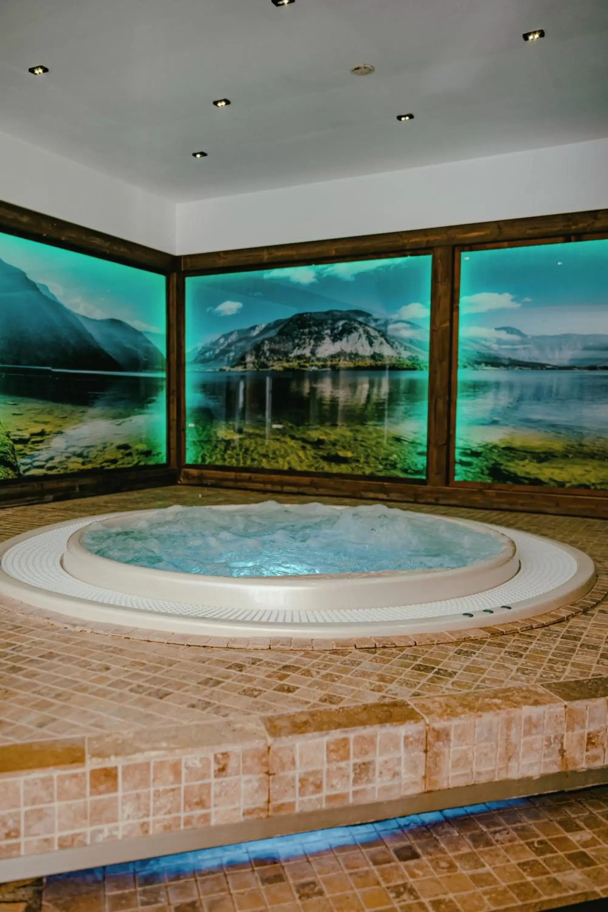 Hot Tub in Hotel Carpathia