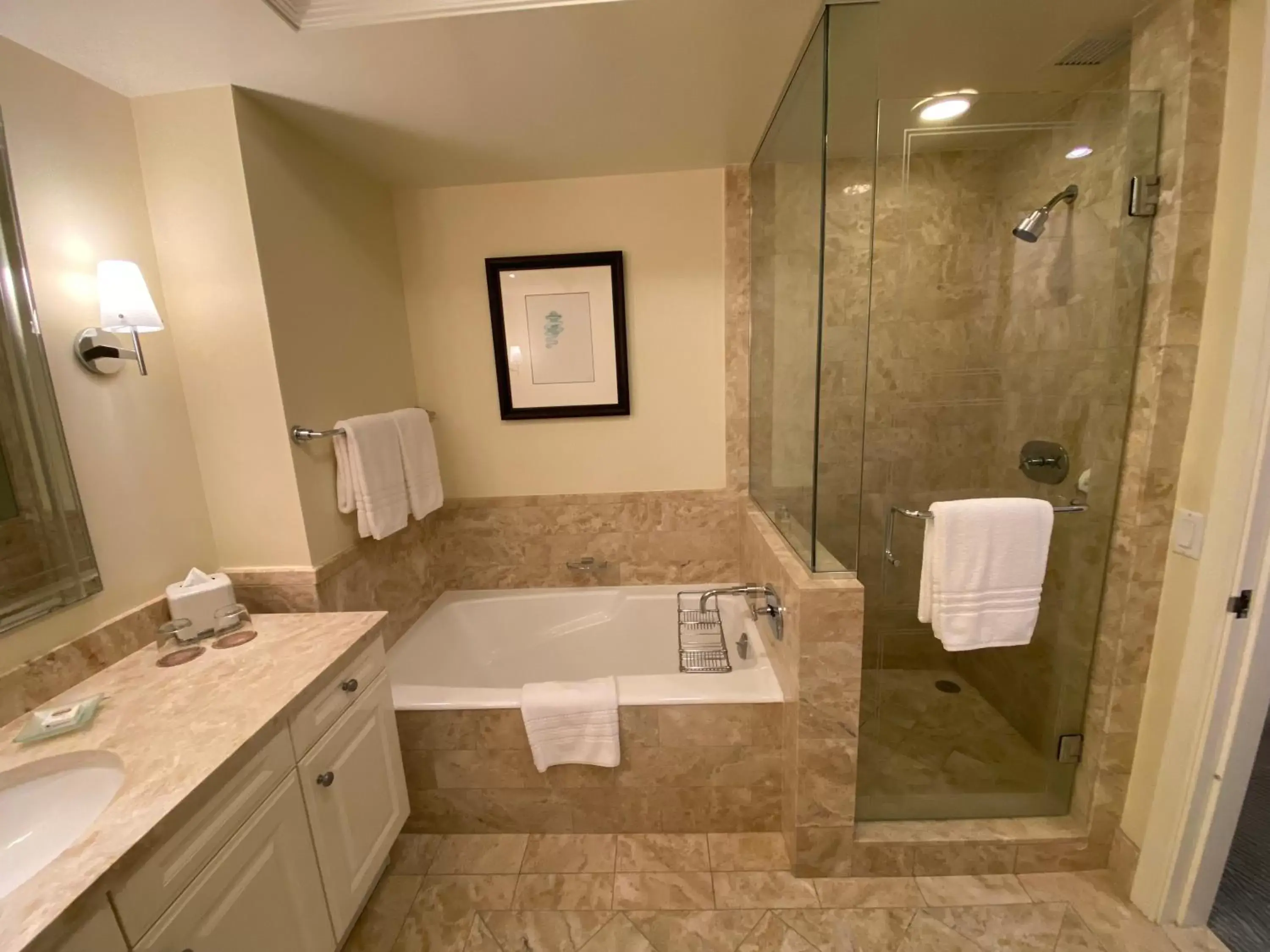 Shower, Bathroom in Four Seasons Hotel Miami - Luxury Private Residences