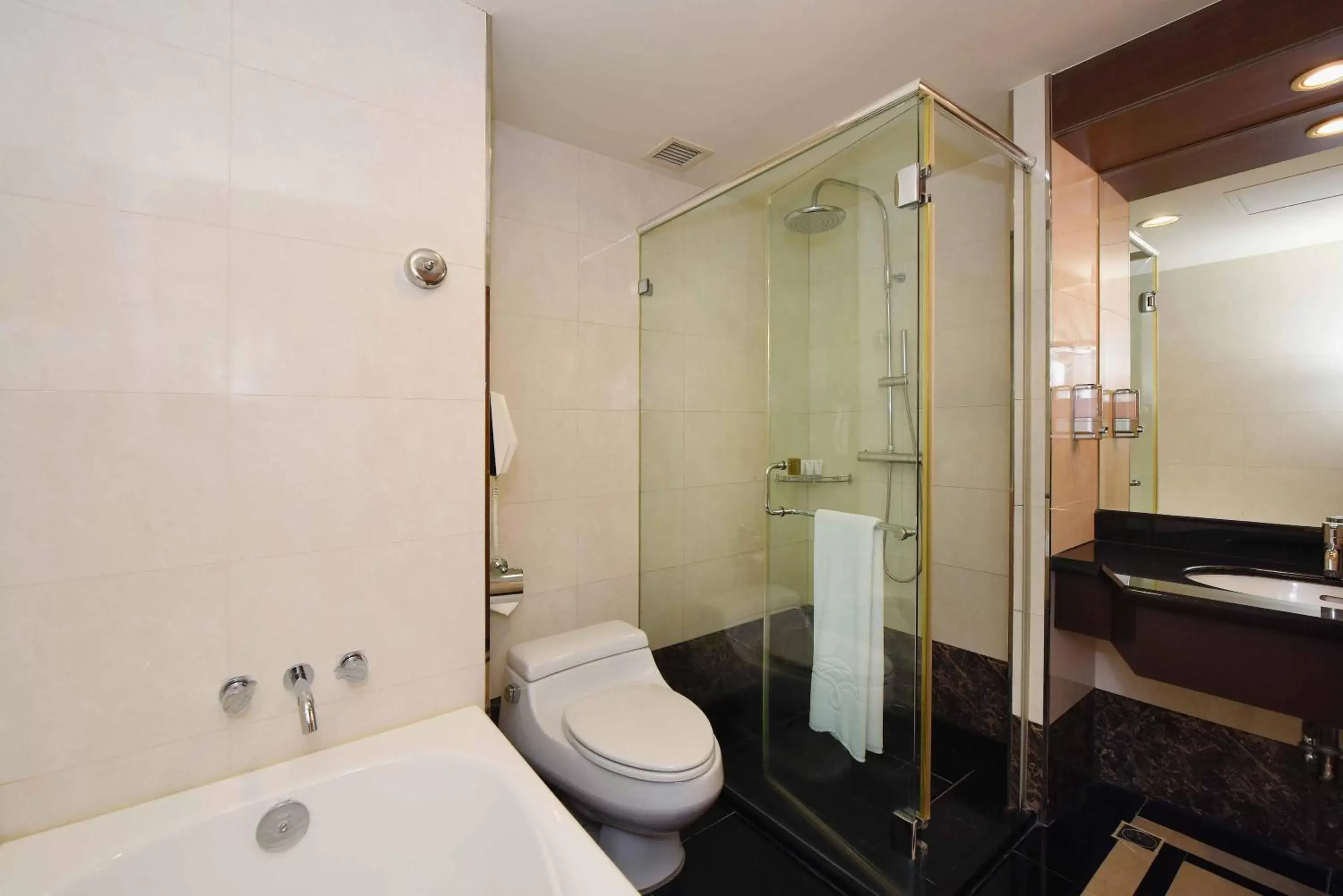 Bathroom in Fullon Hotel Taoyuan