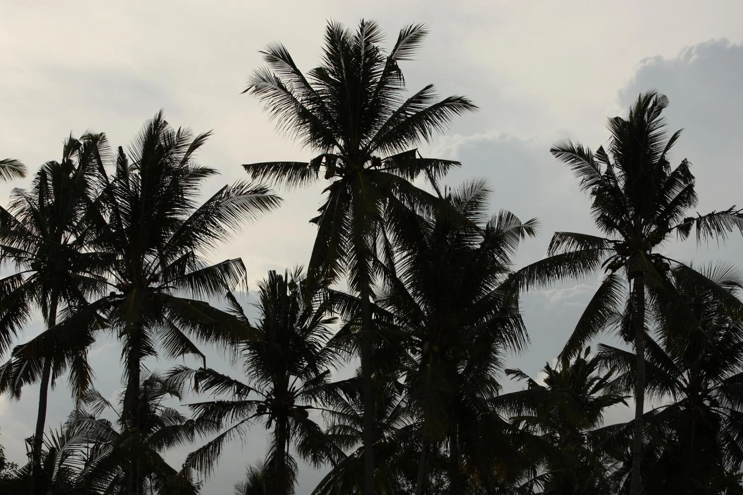 Certificate/Award in Aria Villas Ubud