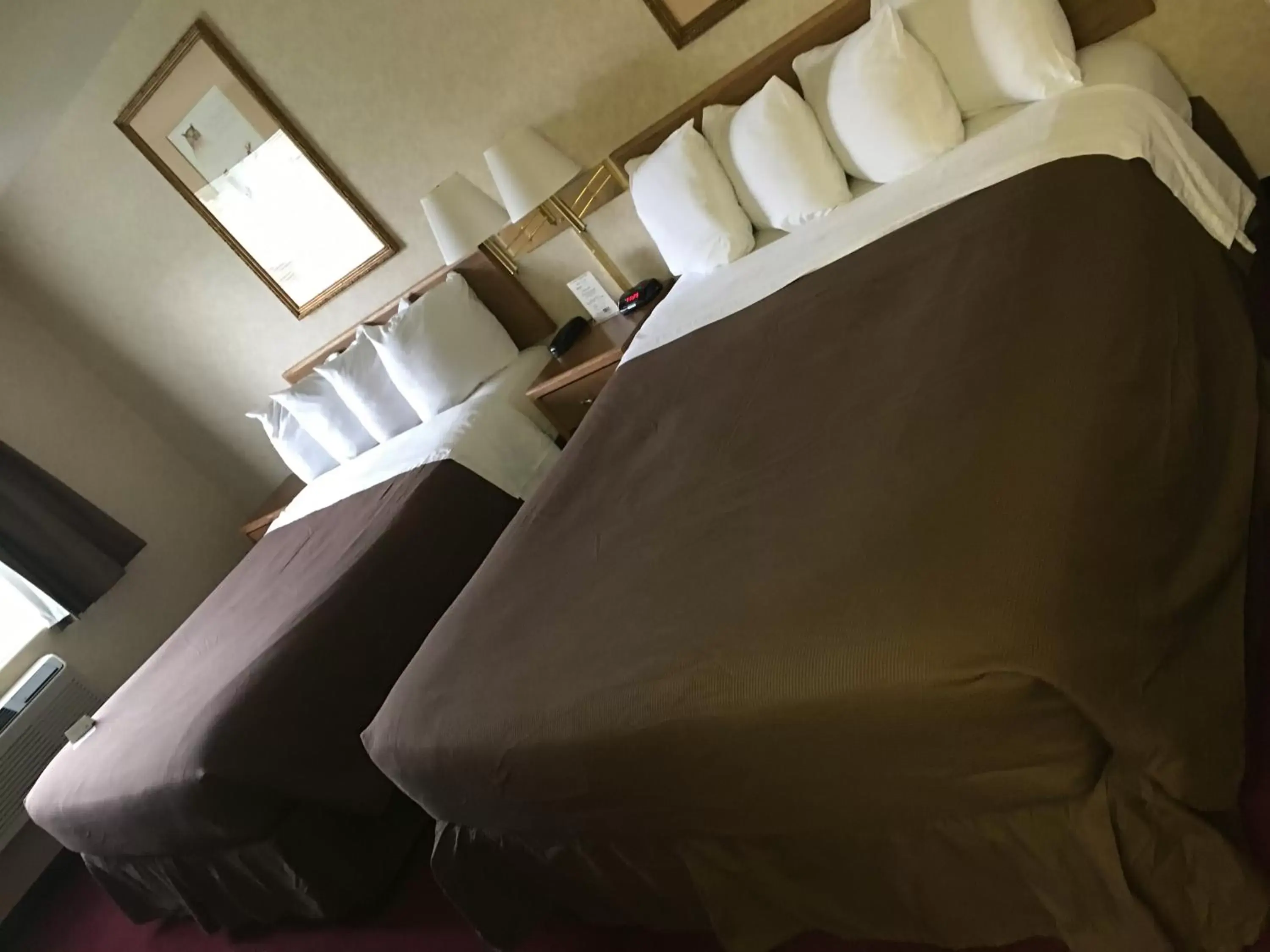Queen Room with Two Queen Beds in Stay Wise Inn Cedaredge