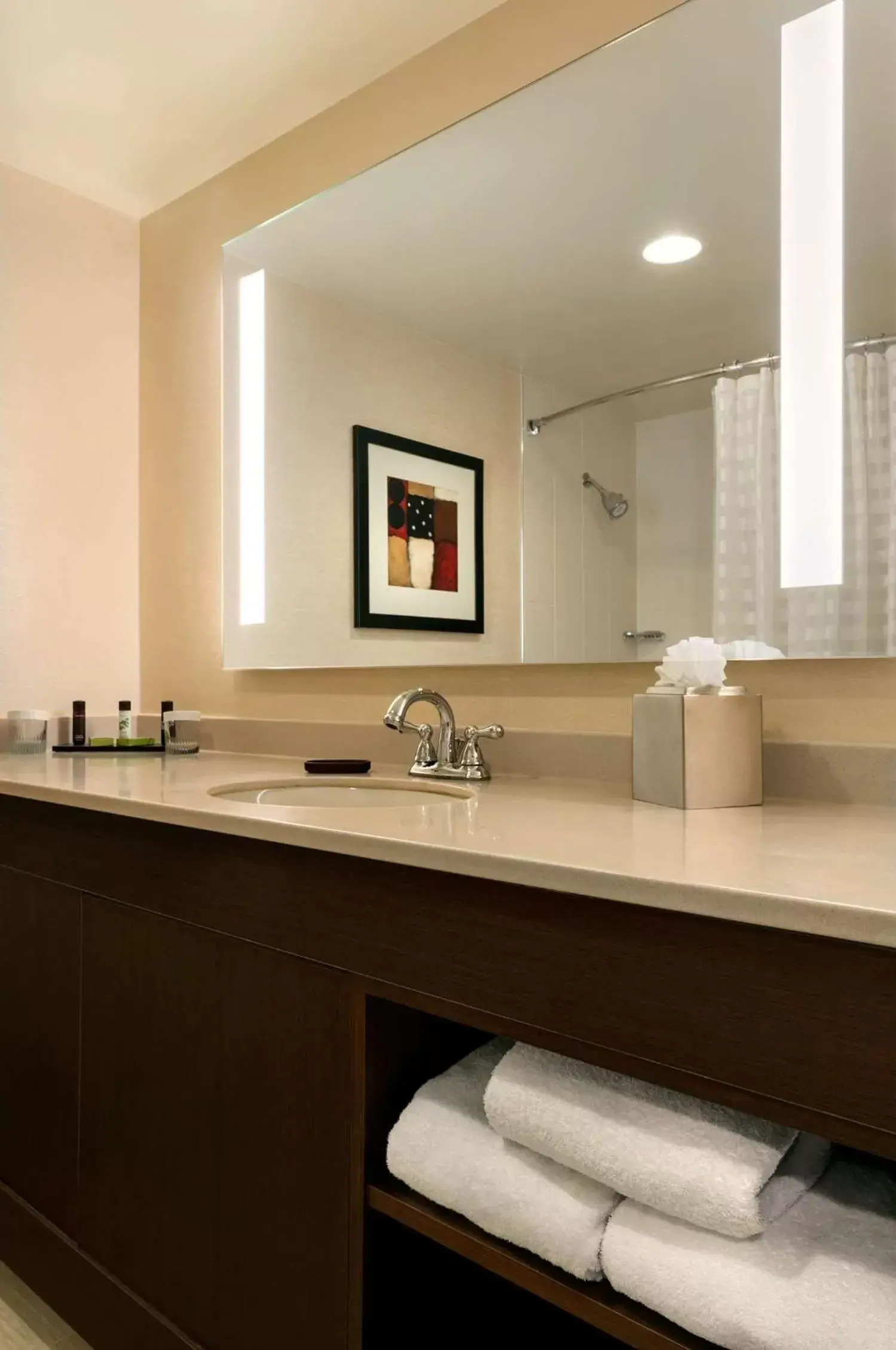 Bathroom in Embassy Suites by Hilton Chicago North Shore Deerfield