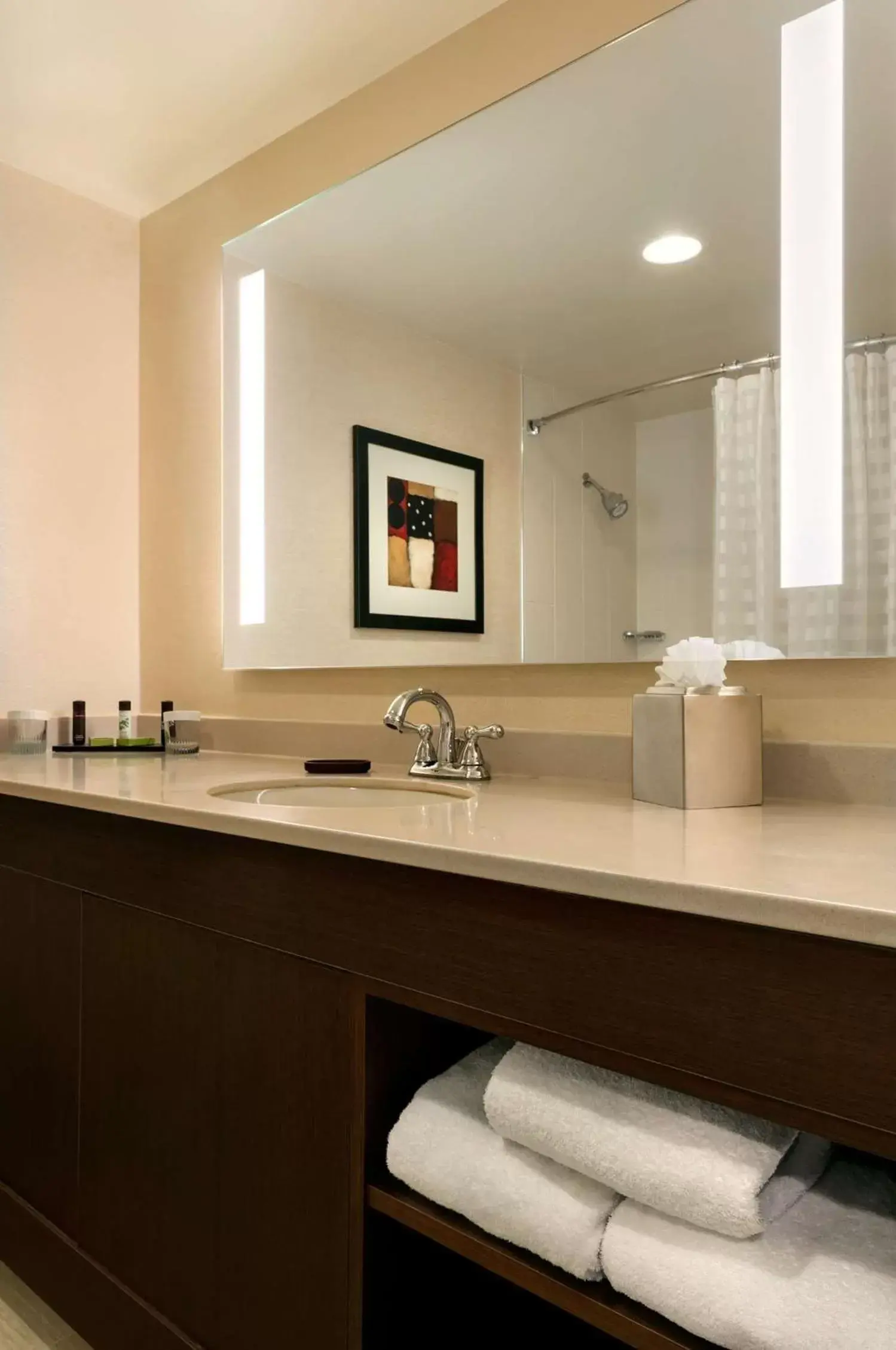 One-Bedroom Suite with Two Double Beds - Hearing Access/Non-Smoking in Embassy Suites by Hilton Chicago North Shore Deerfield One-Bedroom Suite with Two Double Beds - Hearing Access/Non-Smoking in Embassy Suites by Hilton Chicago North Shore Deerfield
