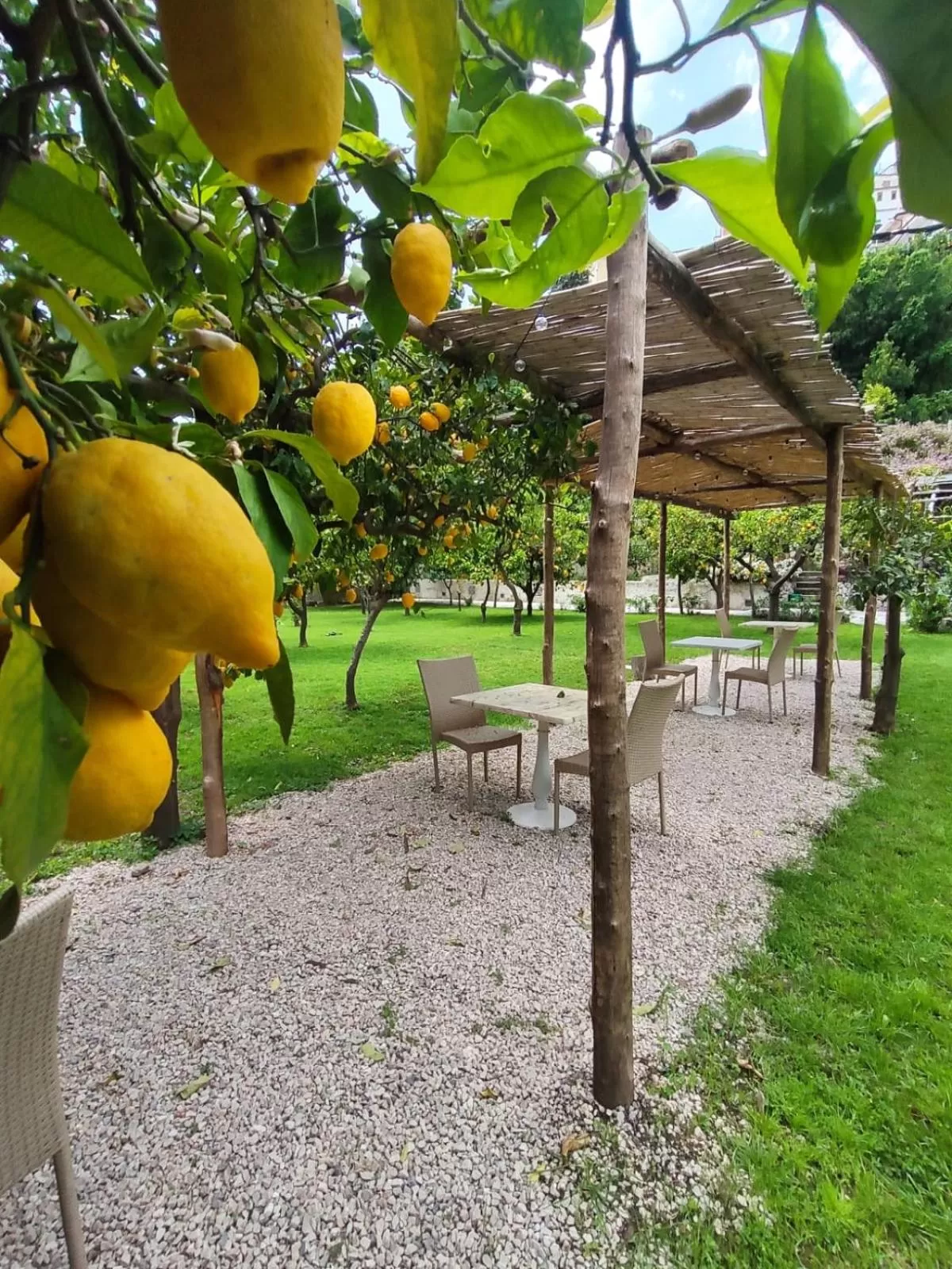 Garden in Casa Amorino