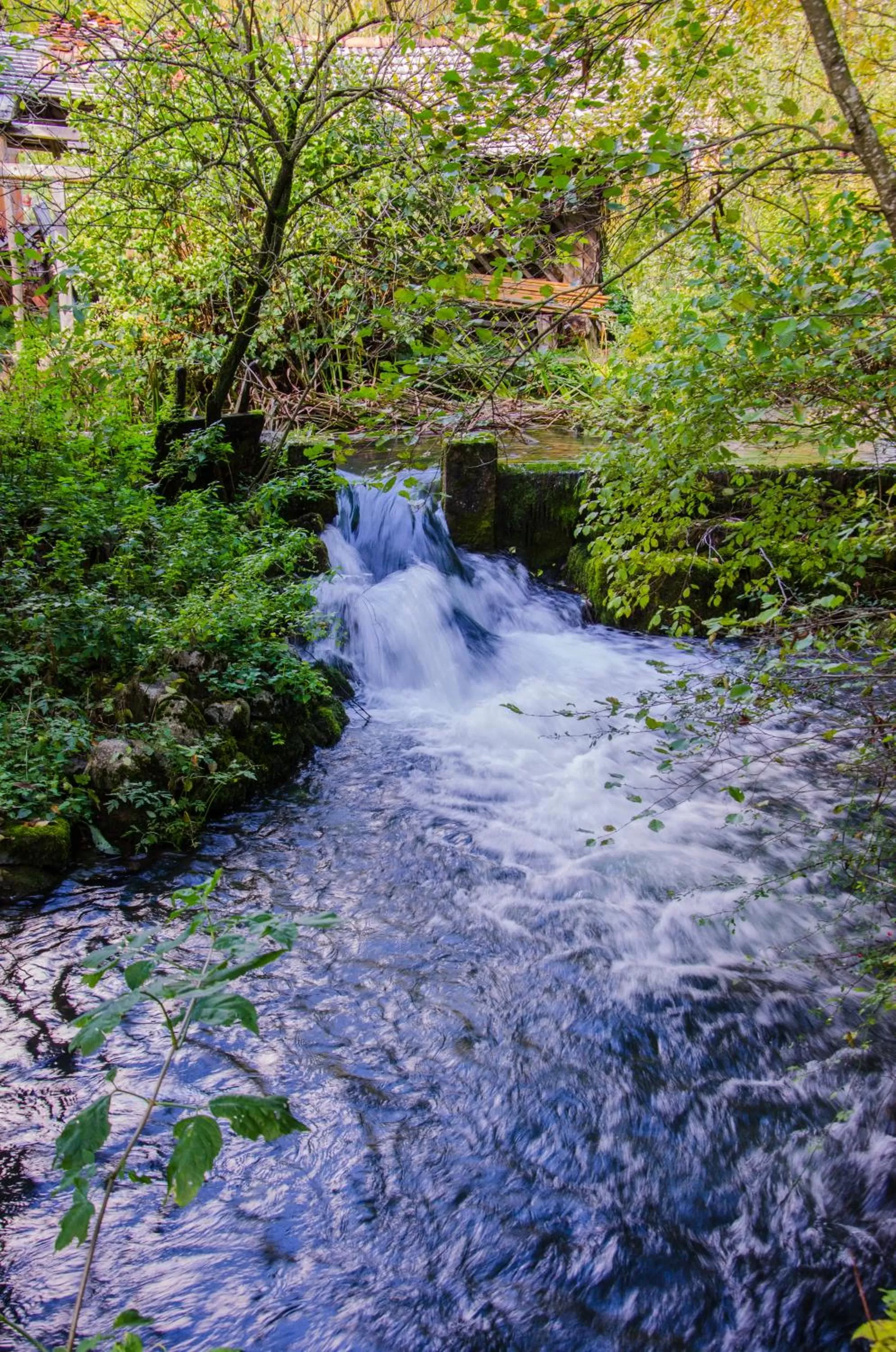 Area and facilities in Miškar Rooms