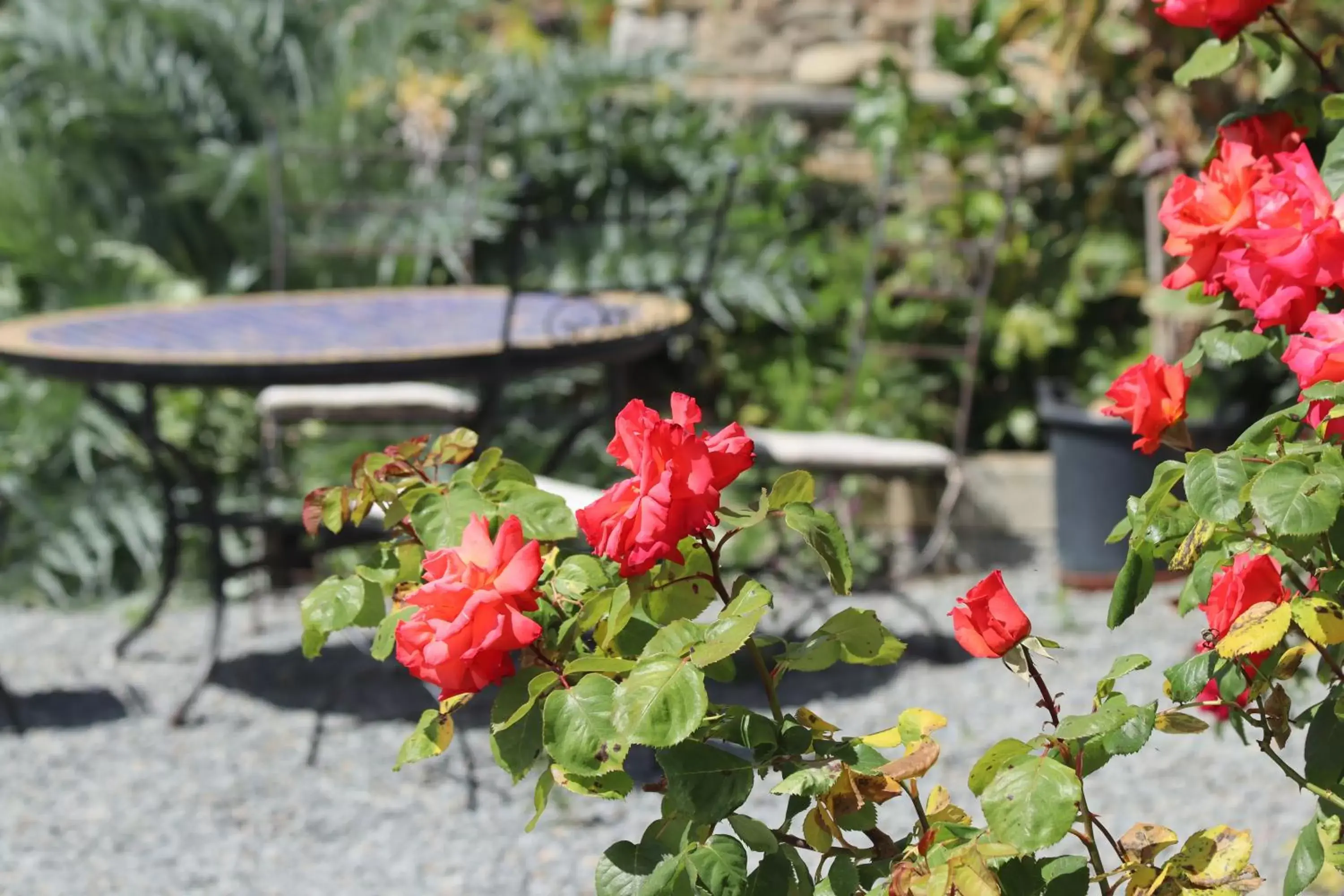 Garden in La Petite Bérais