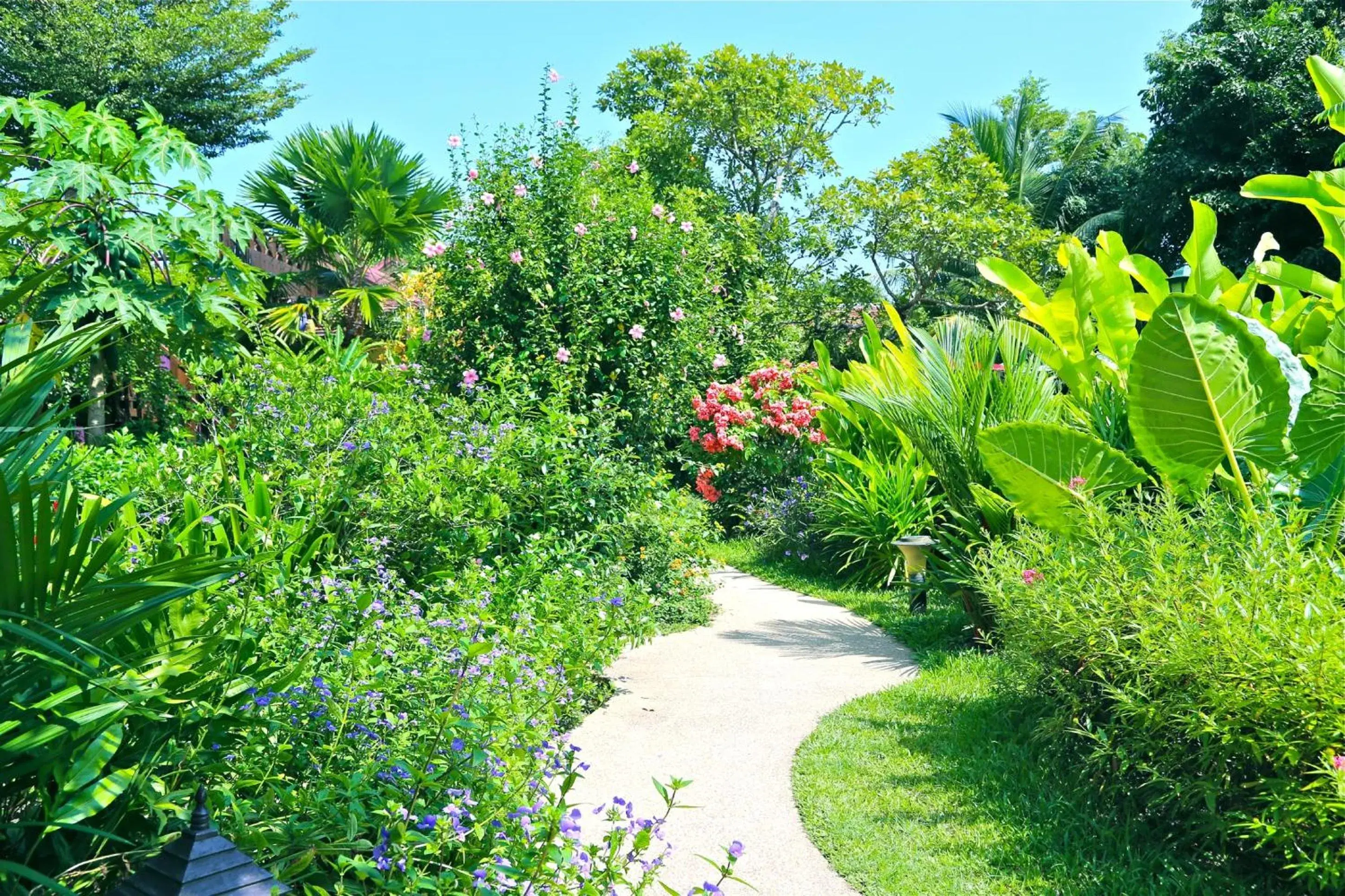 Garden in Oriental Siam Resort