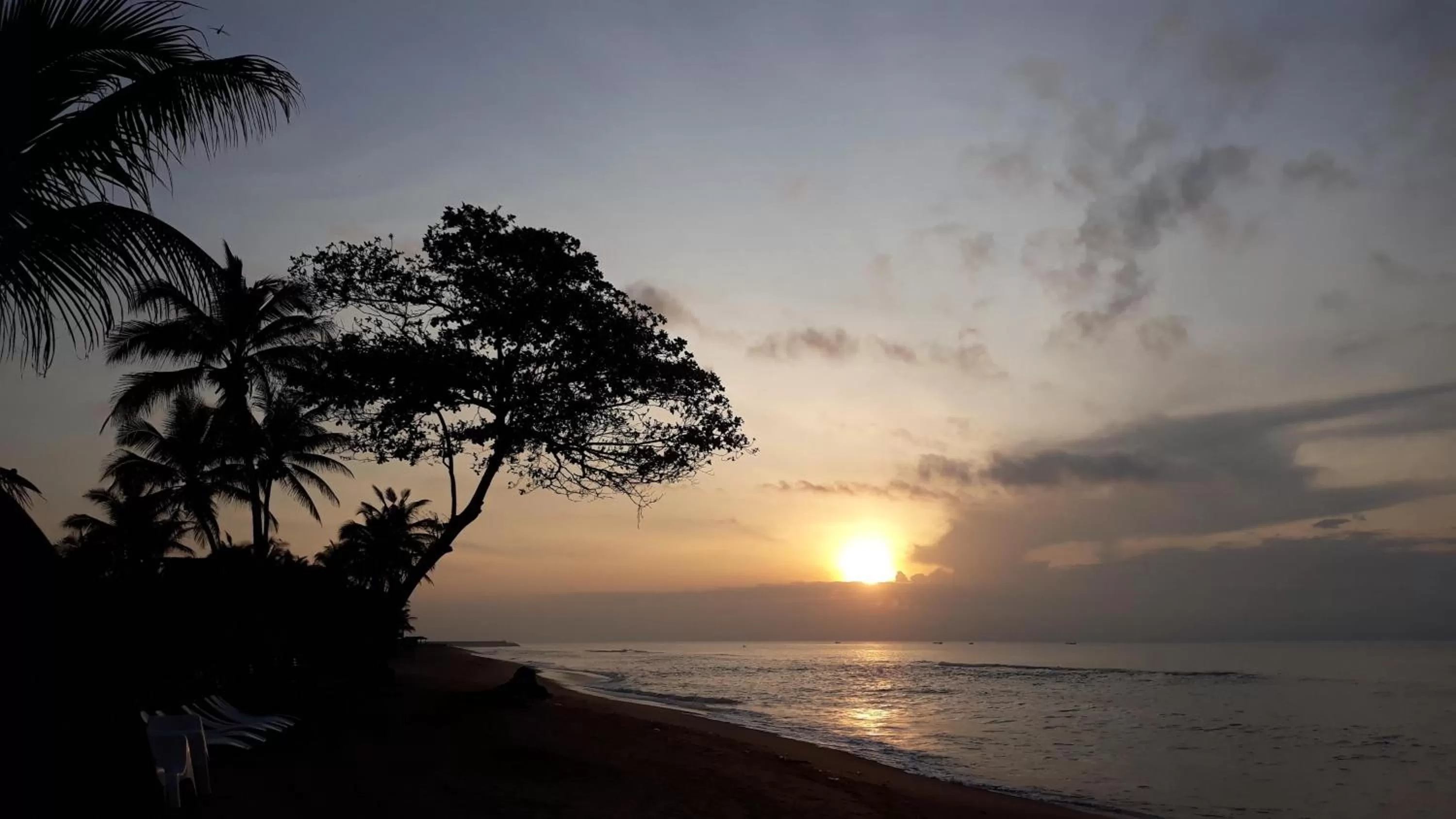 Natural landscape in CASE de ROBINSON