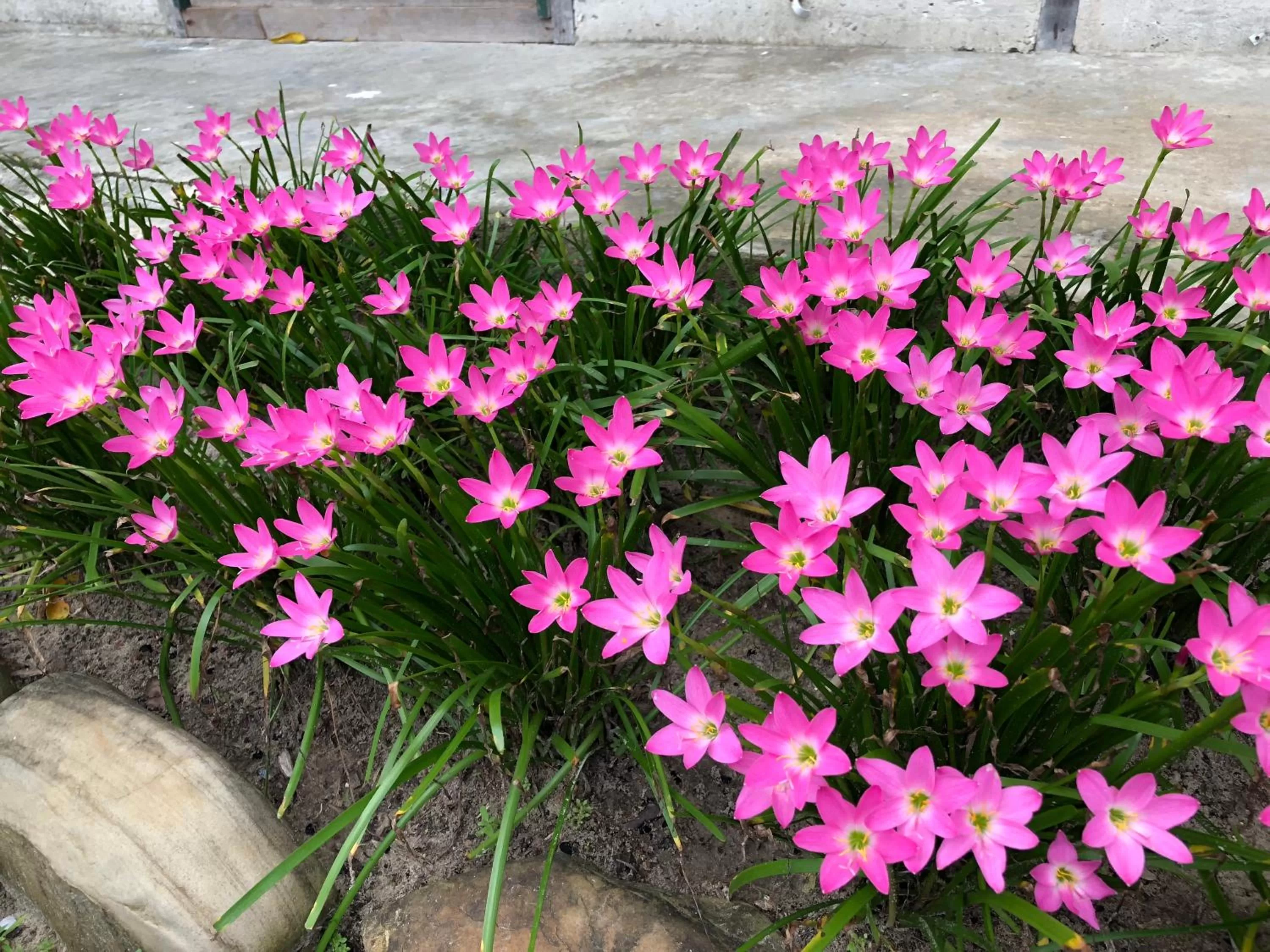 Dragon Pearl Beach Resort