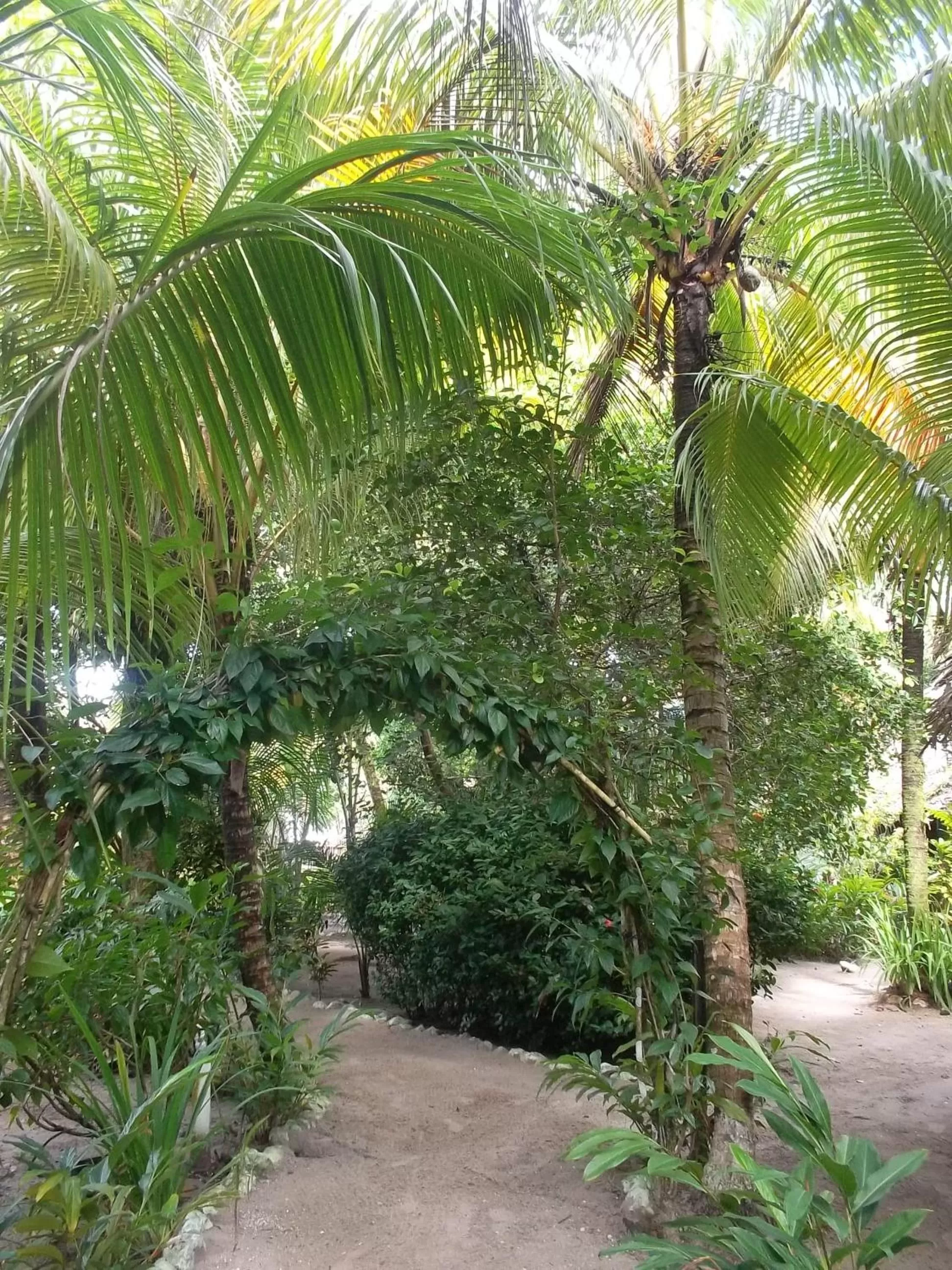 Hotel Salvador Gaviota